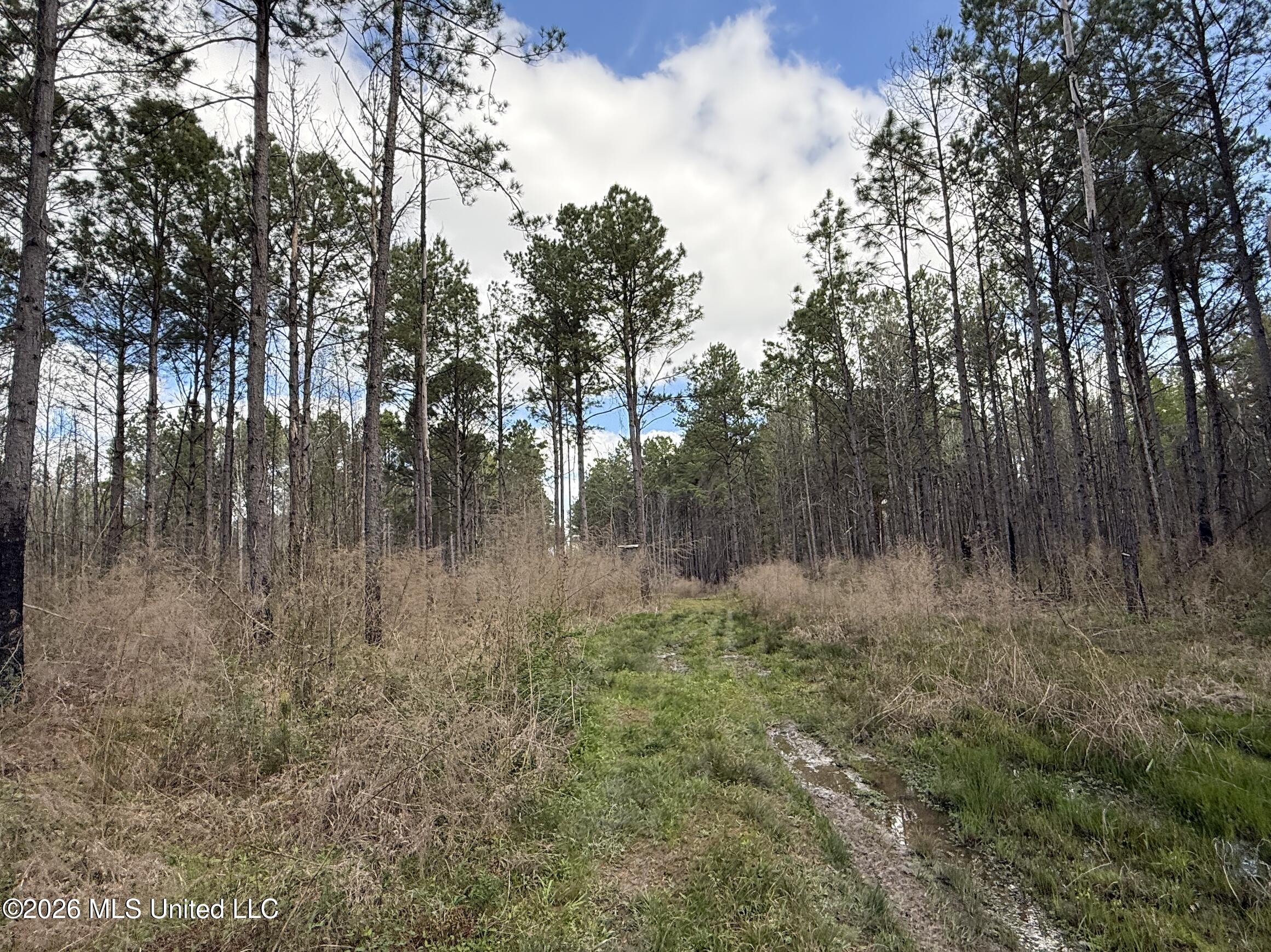 Oldenburg Road Property Photo 33