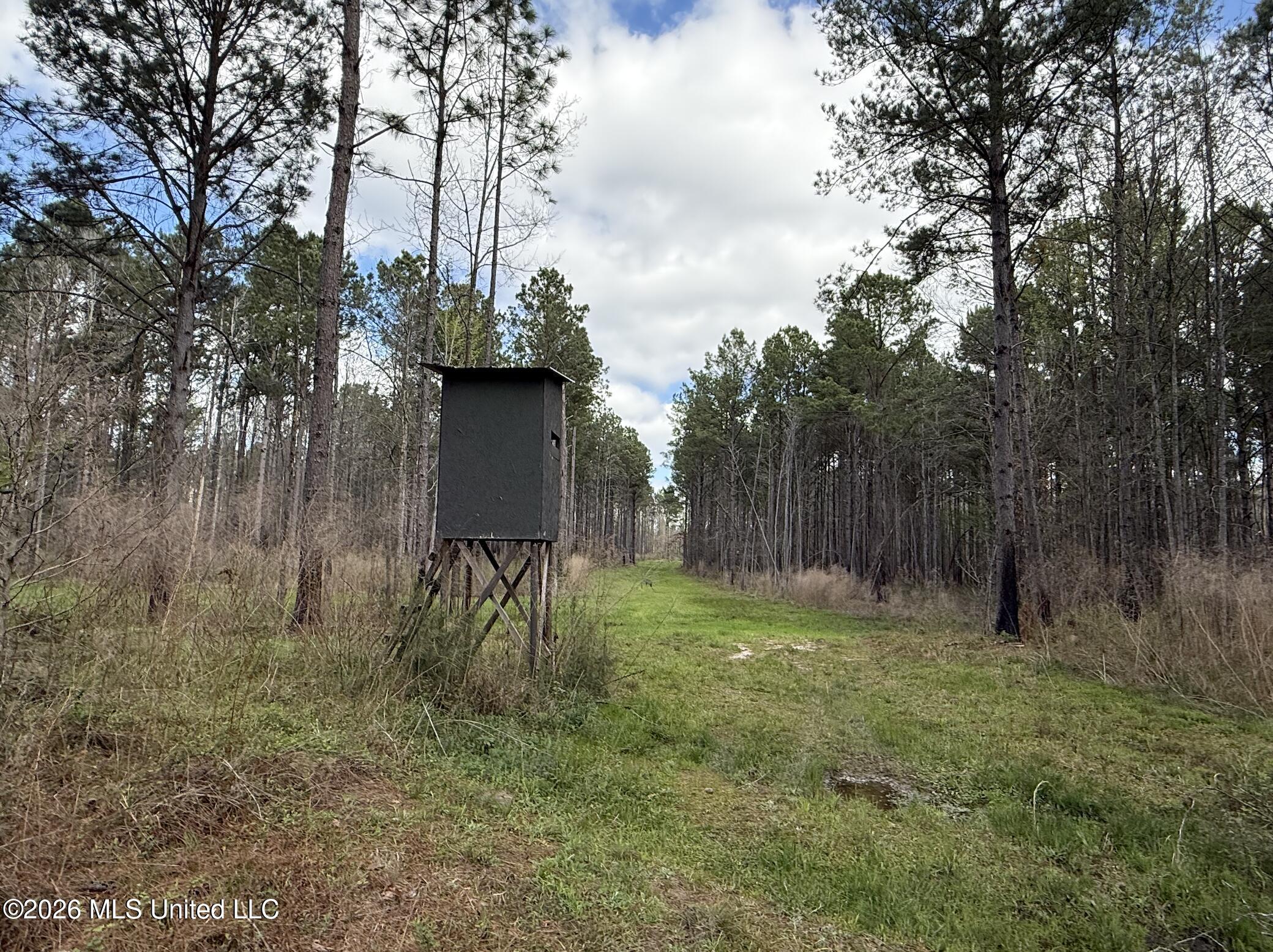Oldenburg Road Property Photo 34