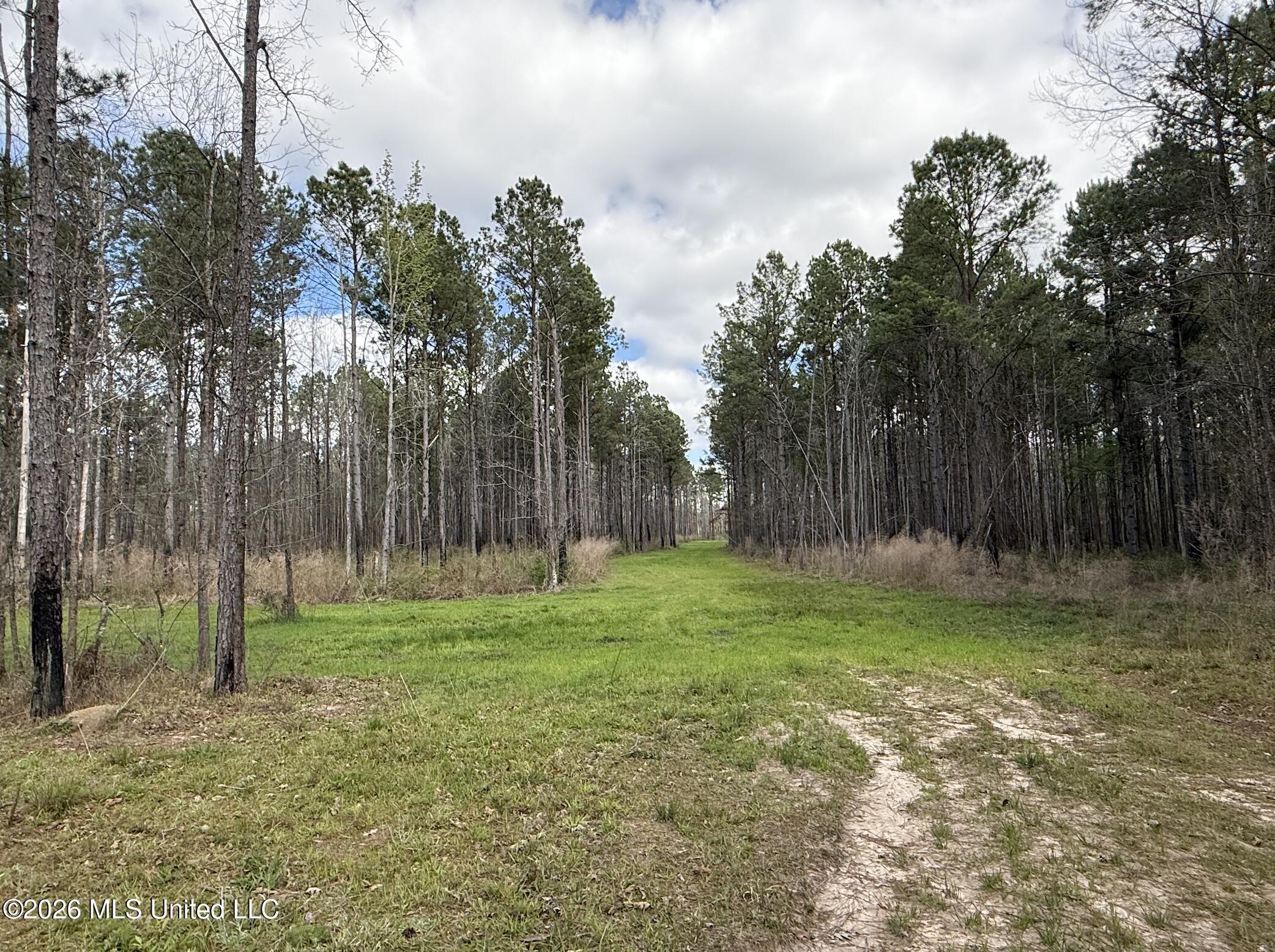 Oldenburg Road Property Photo 35