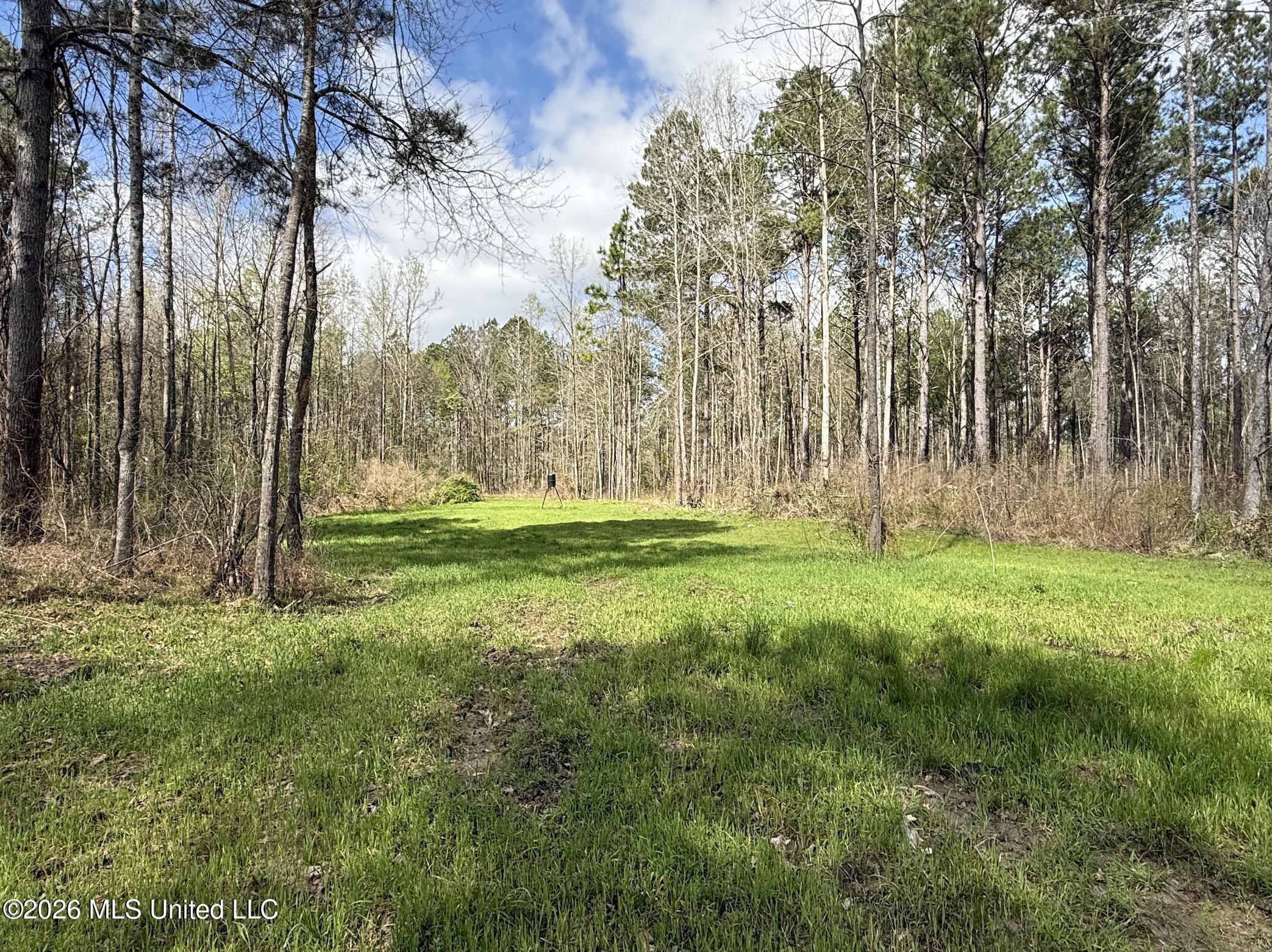 Oldenburg Road Property Photo 36