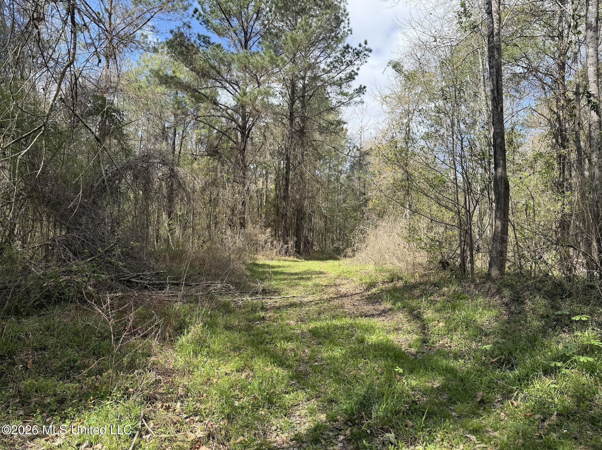 Oldenburg Road Property Photo 37