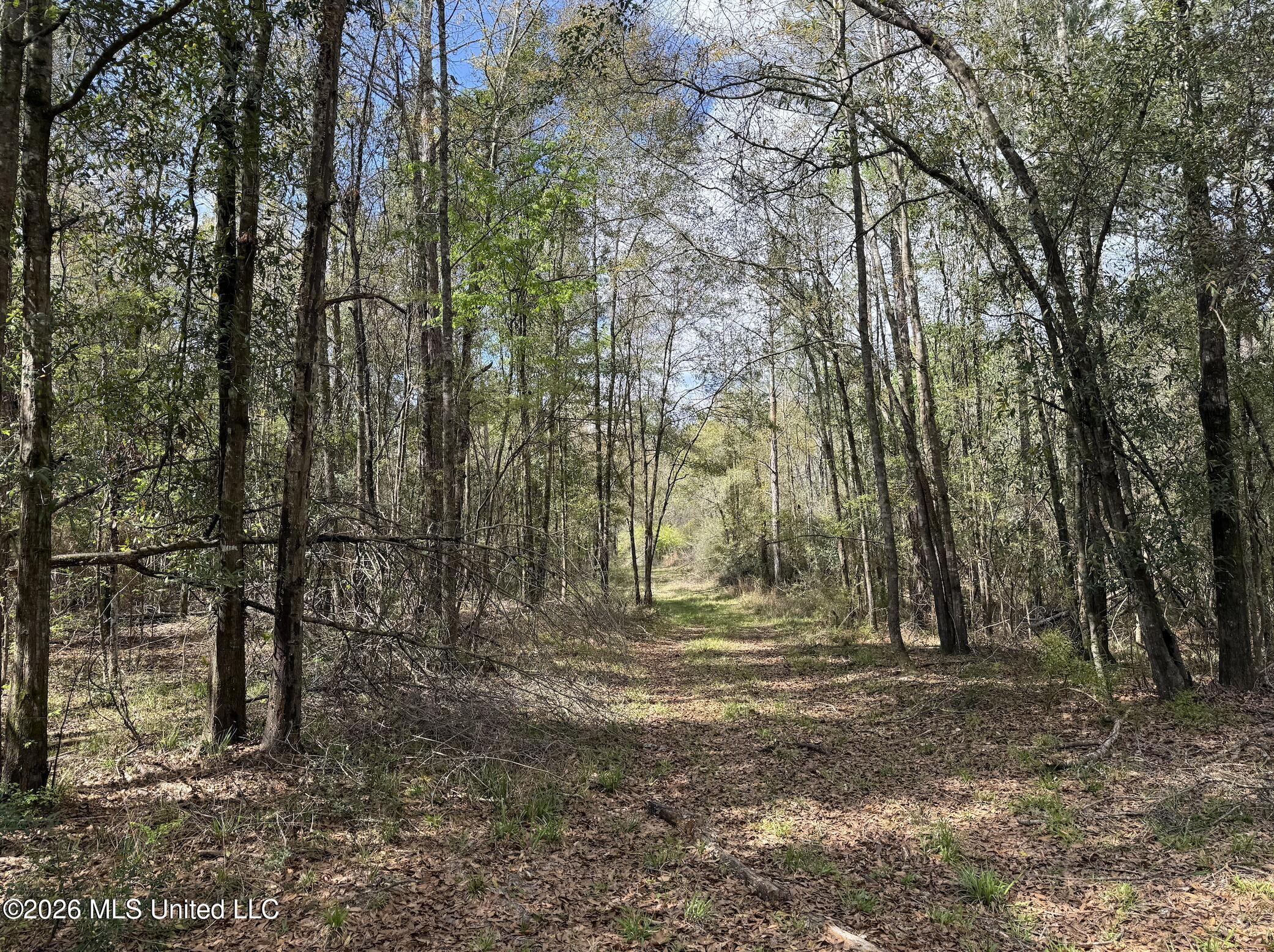 Oldenburg Road Property Photo 38