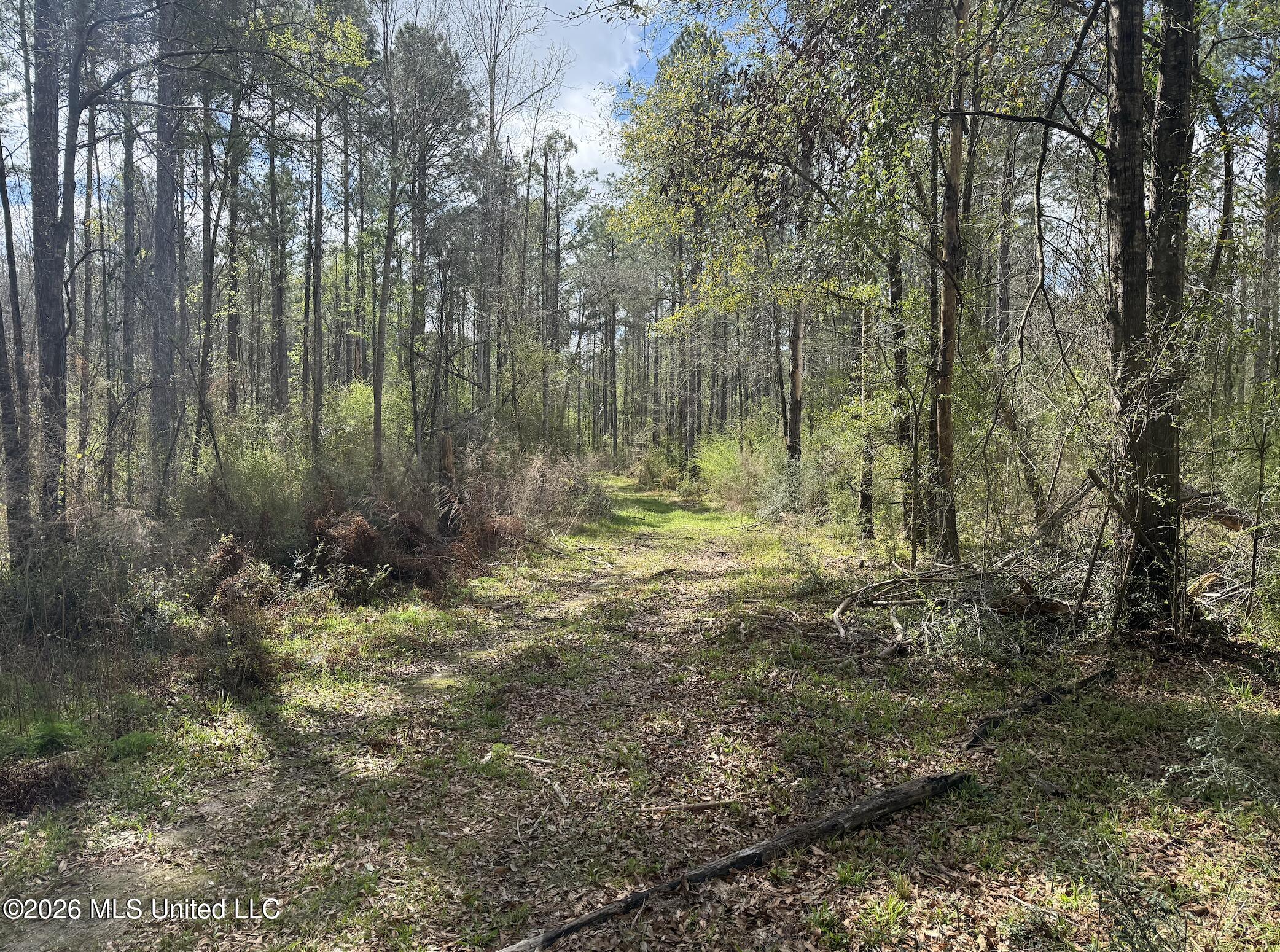 Oldenburg Road Property Photo 39