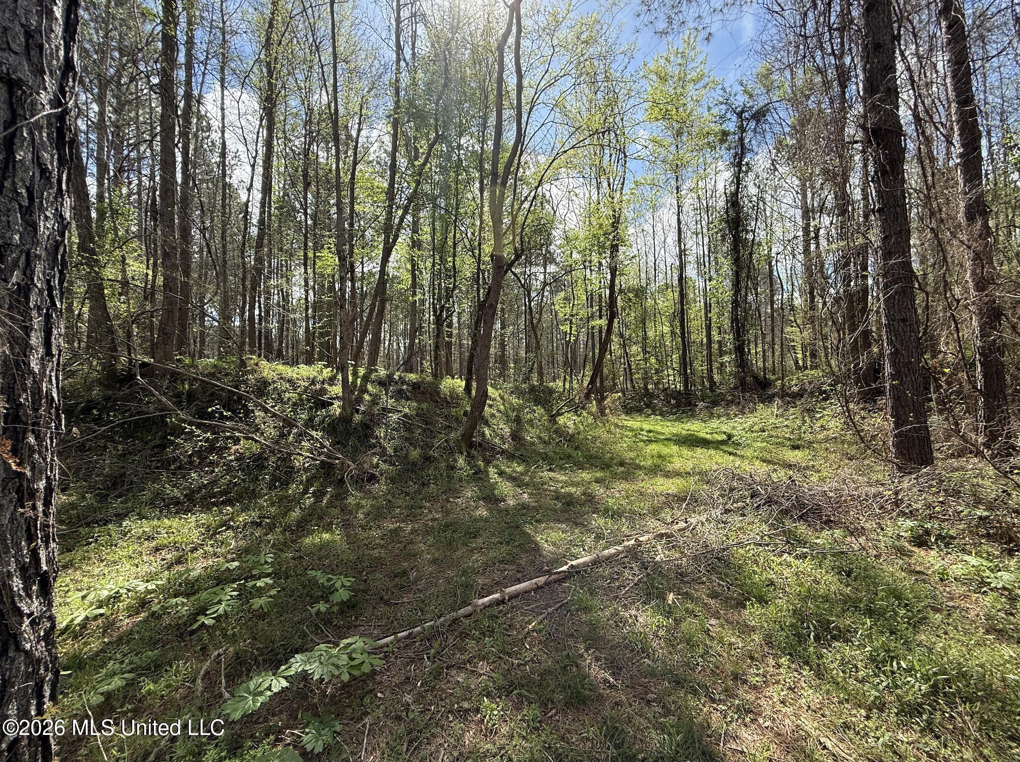 Oldenburg Road Property Photo 42