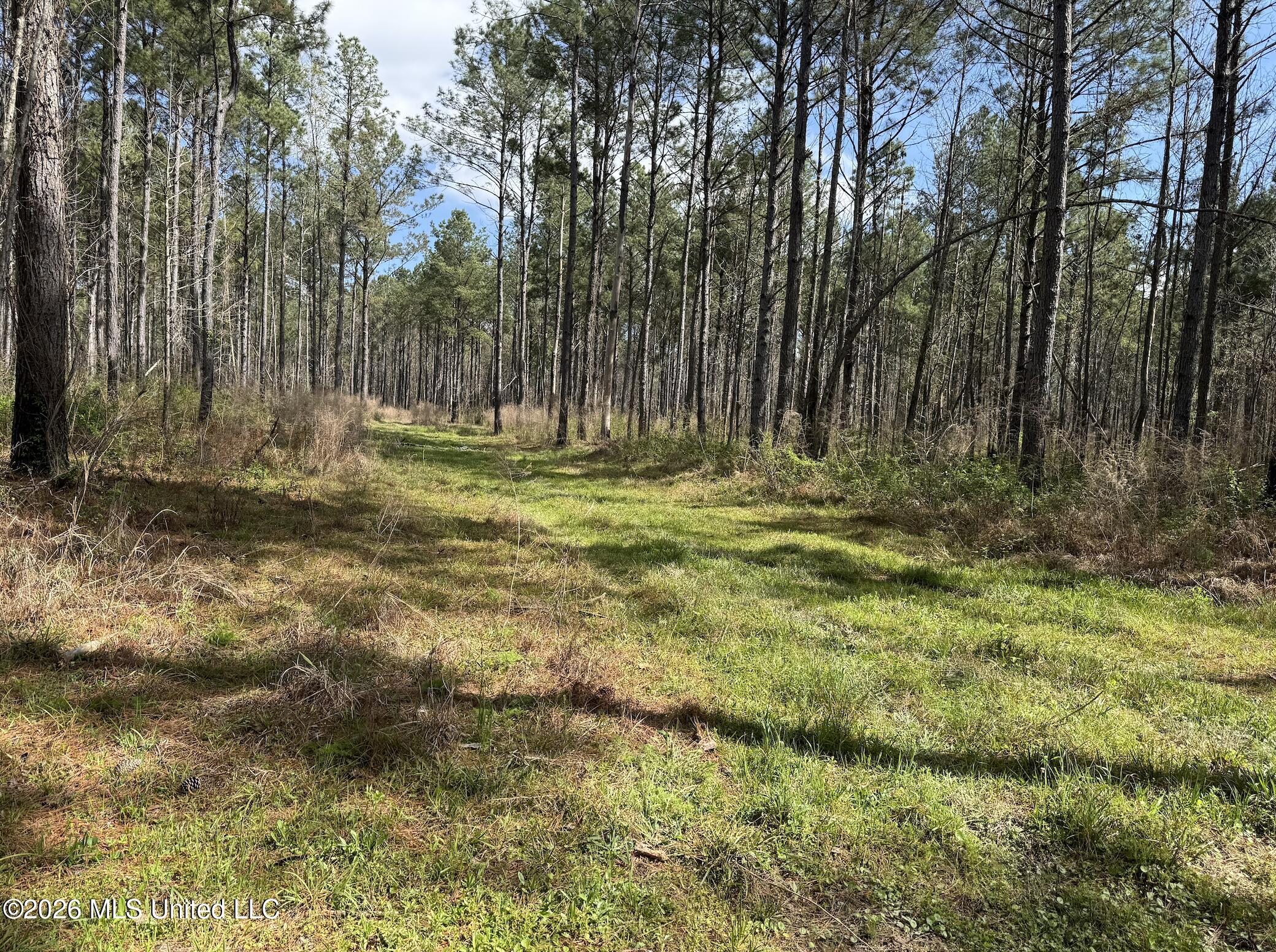 Oldenburg Road Property Photo 44