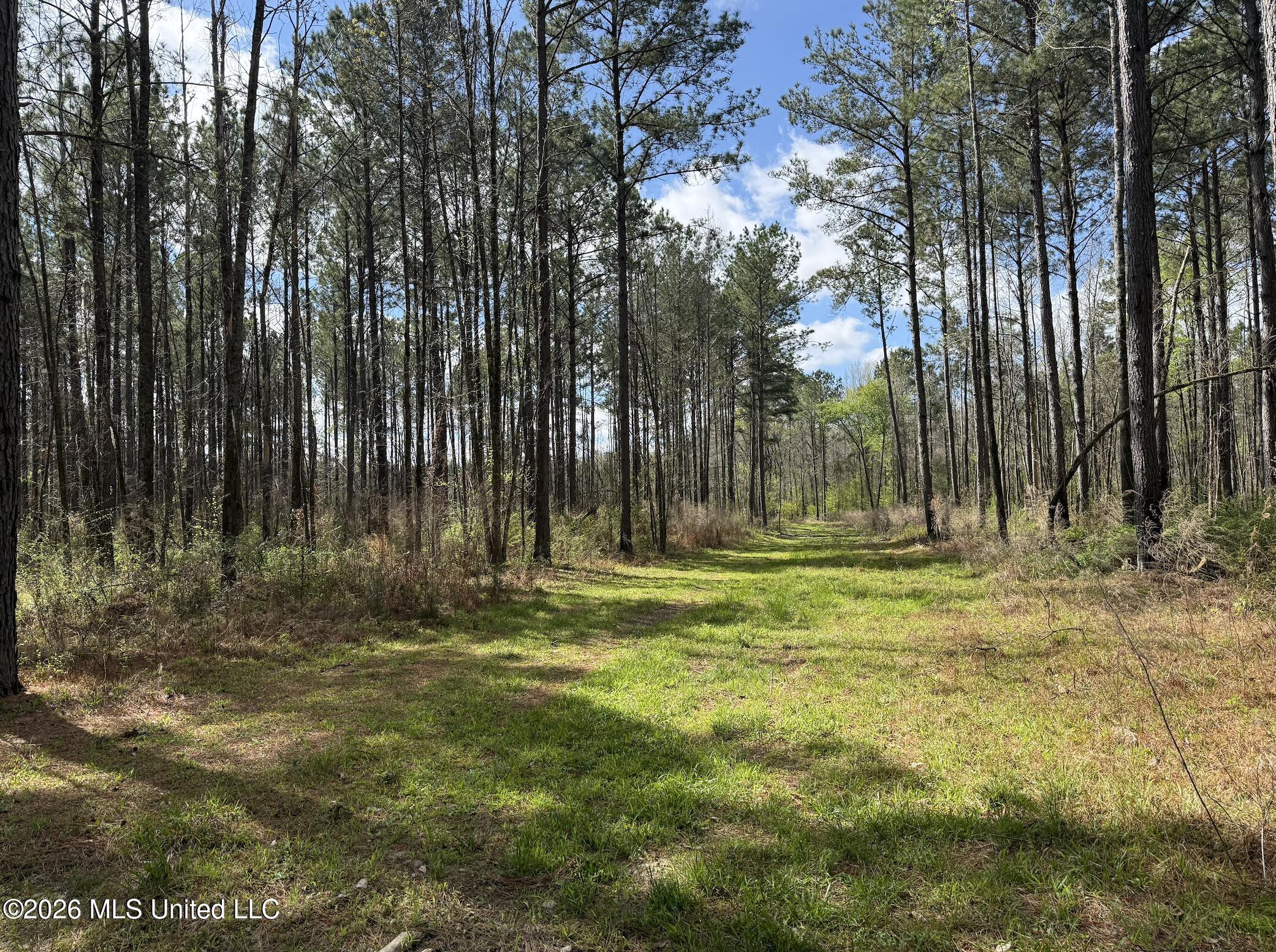 Oldenburg Road Property Photo 46