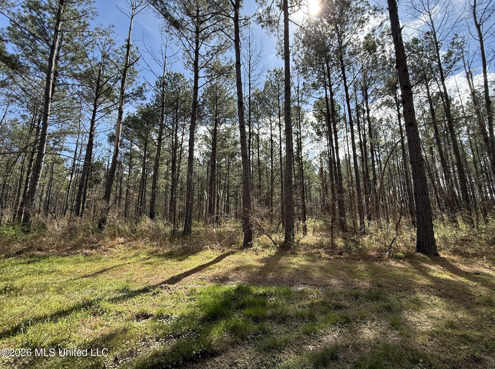 Oldenburg Road Property Photo 47