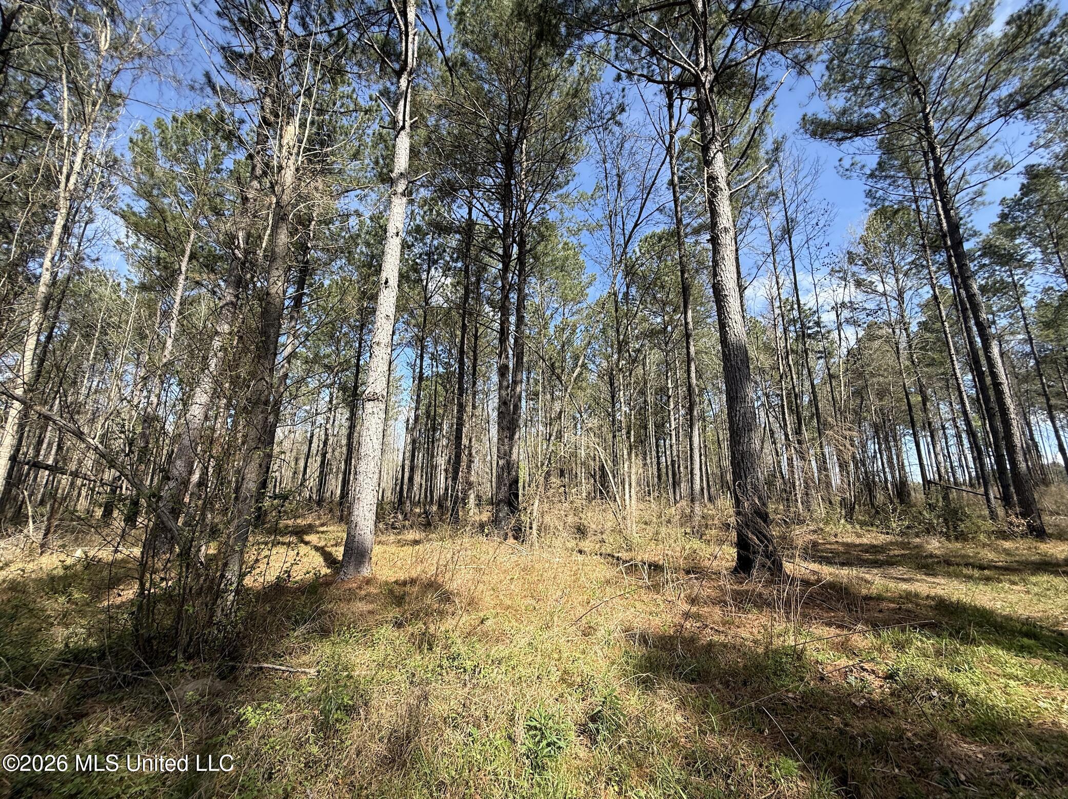 Oldenburg Road Property Photo 56