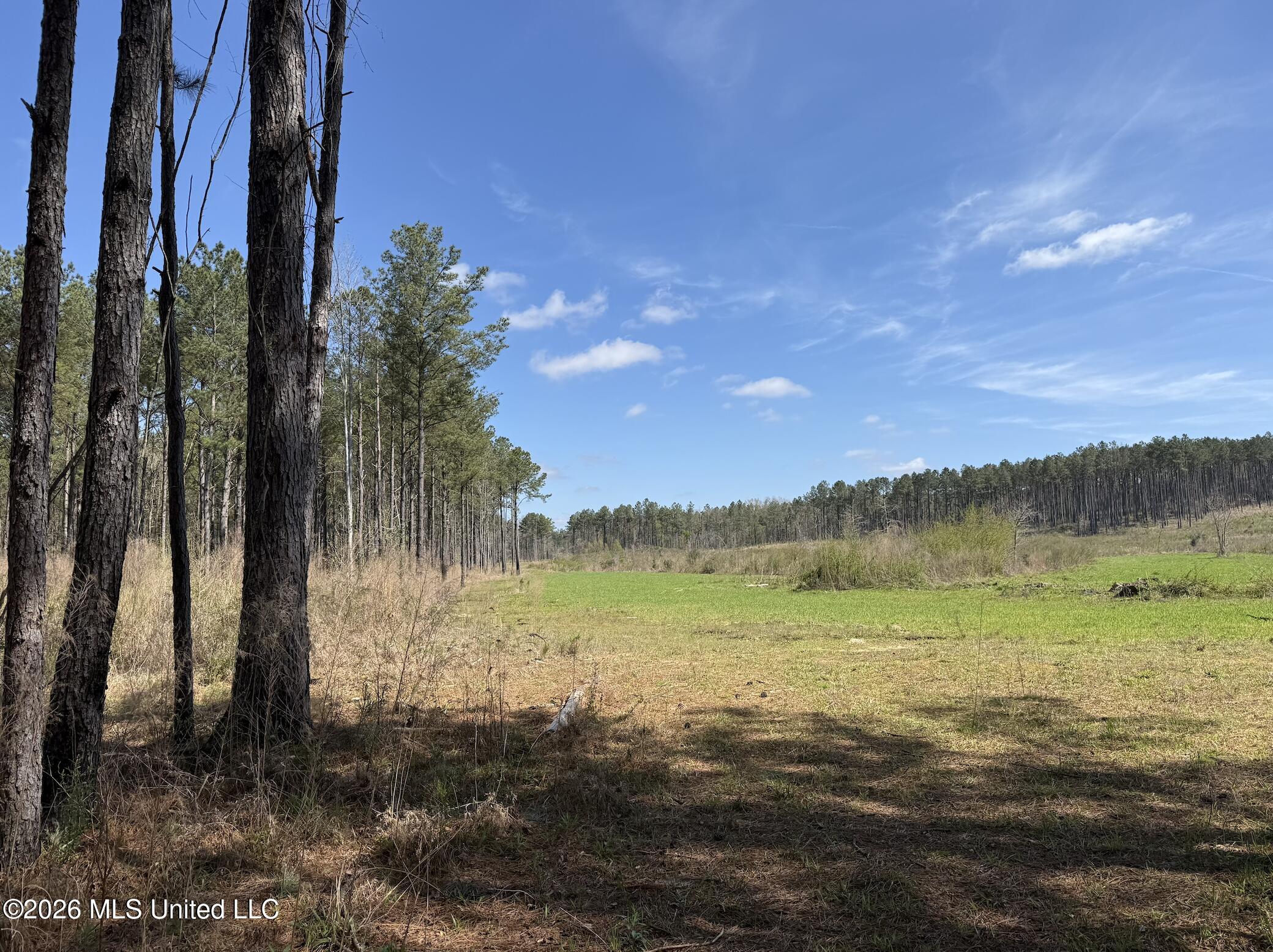 Oldenburg Road Property Photo 57