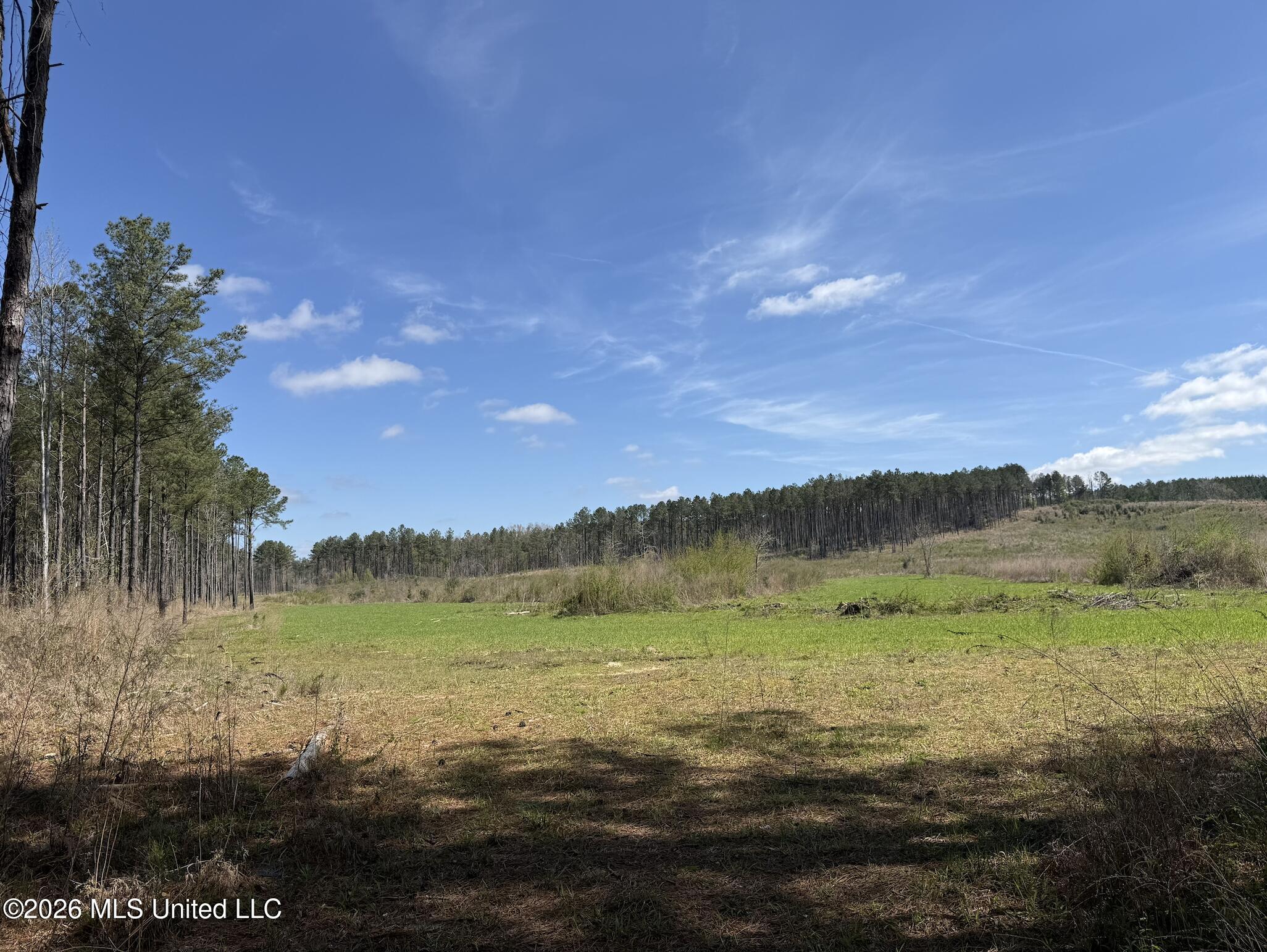 Oldenburg Road Property Photo 58