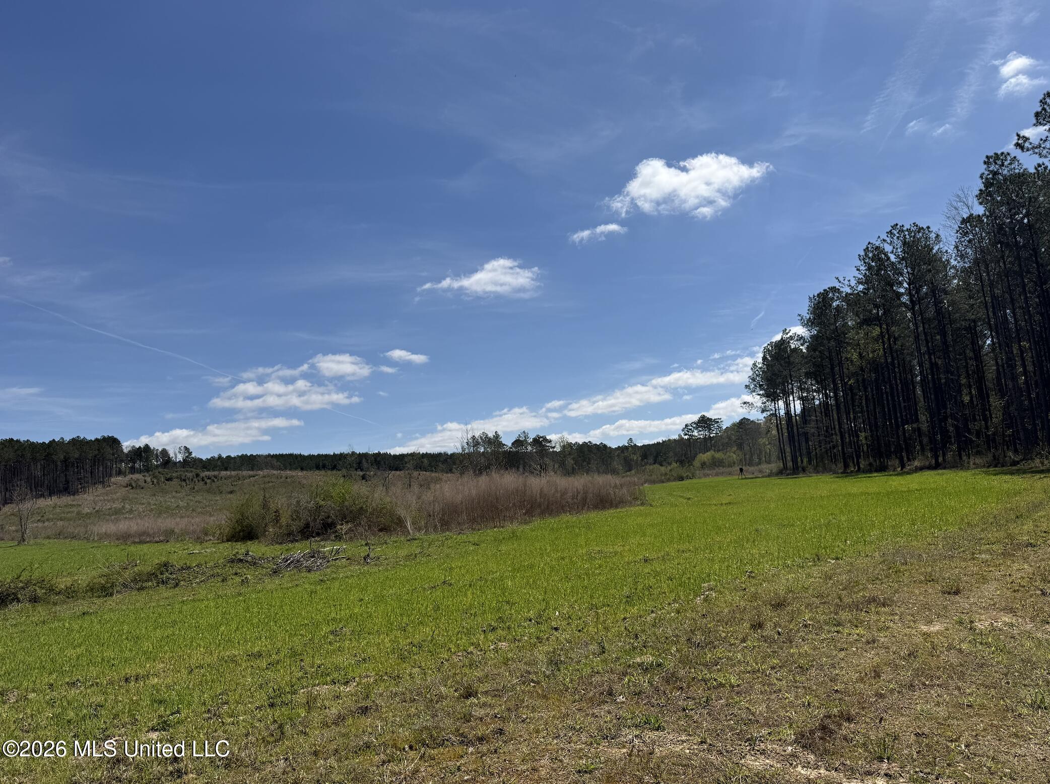 Oldenburg Road Property Photo 60