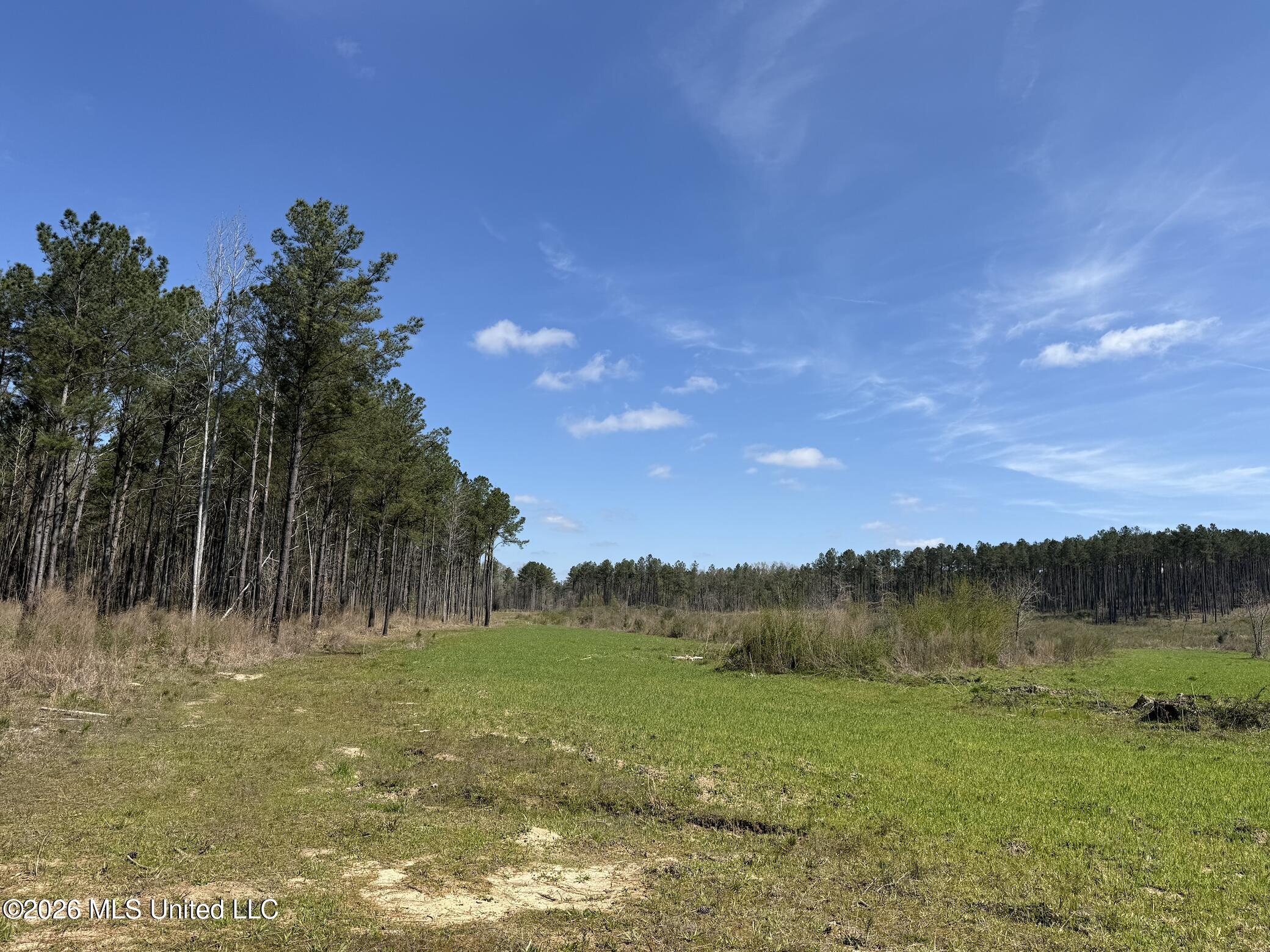 Oldenburg Road Property Photo 62