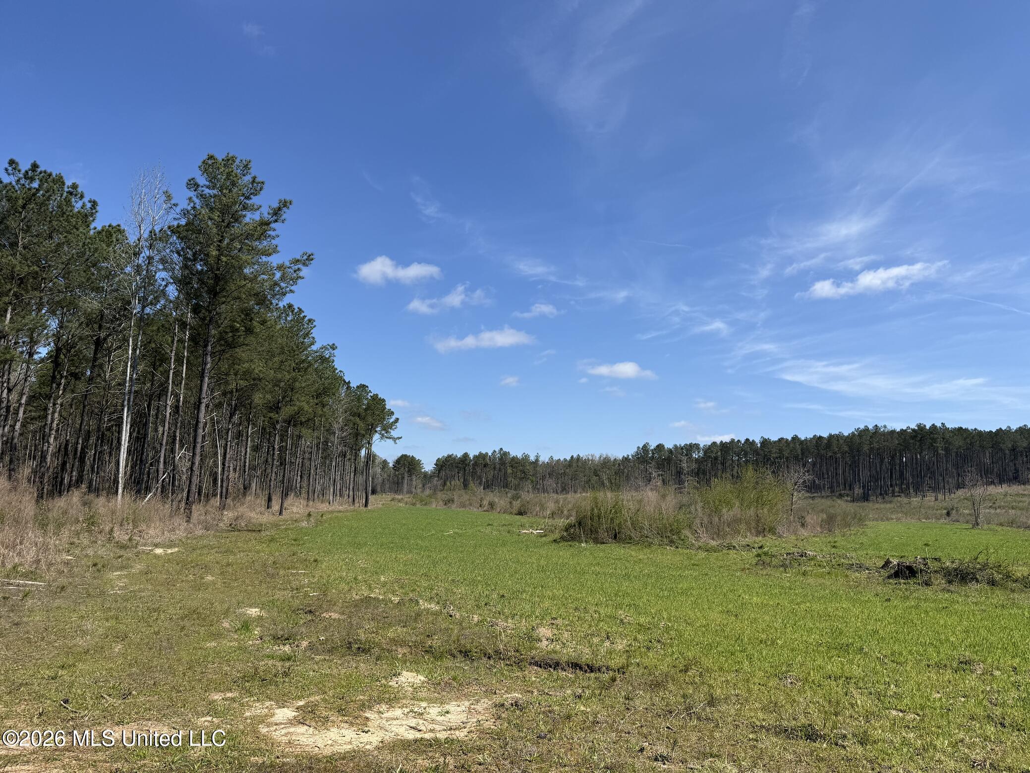 Oldenburg Road Property Photo 63