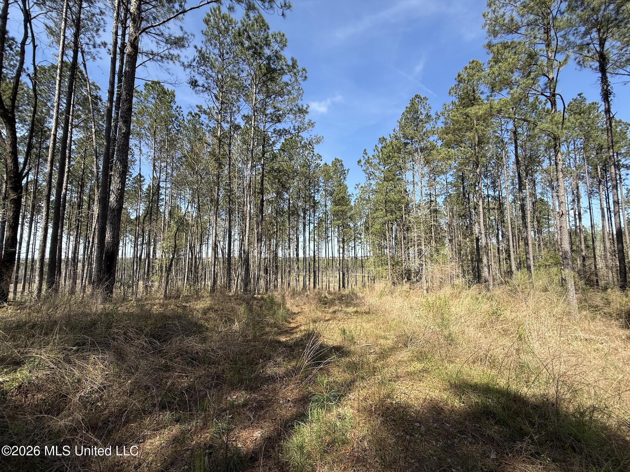 Oldenburg Road Property Photo 64