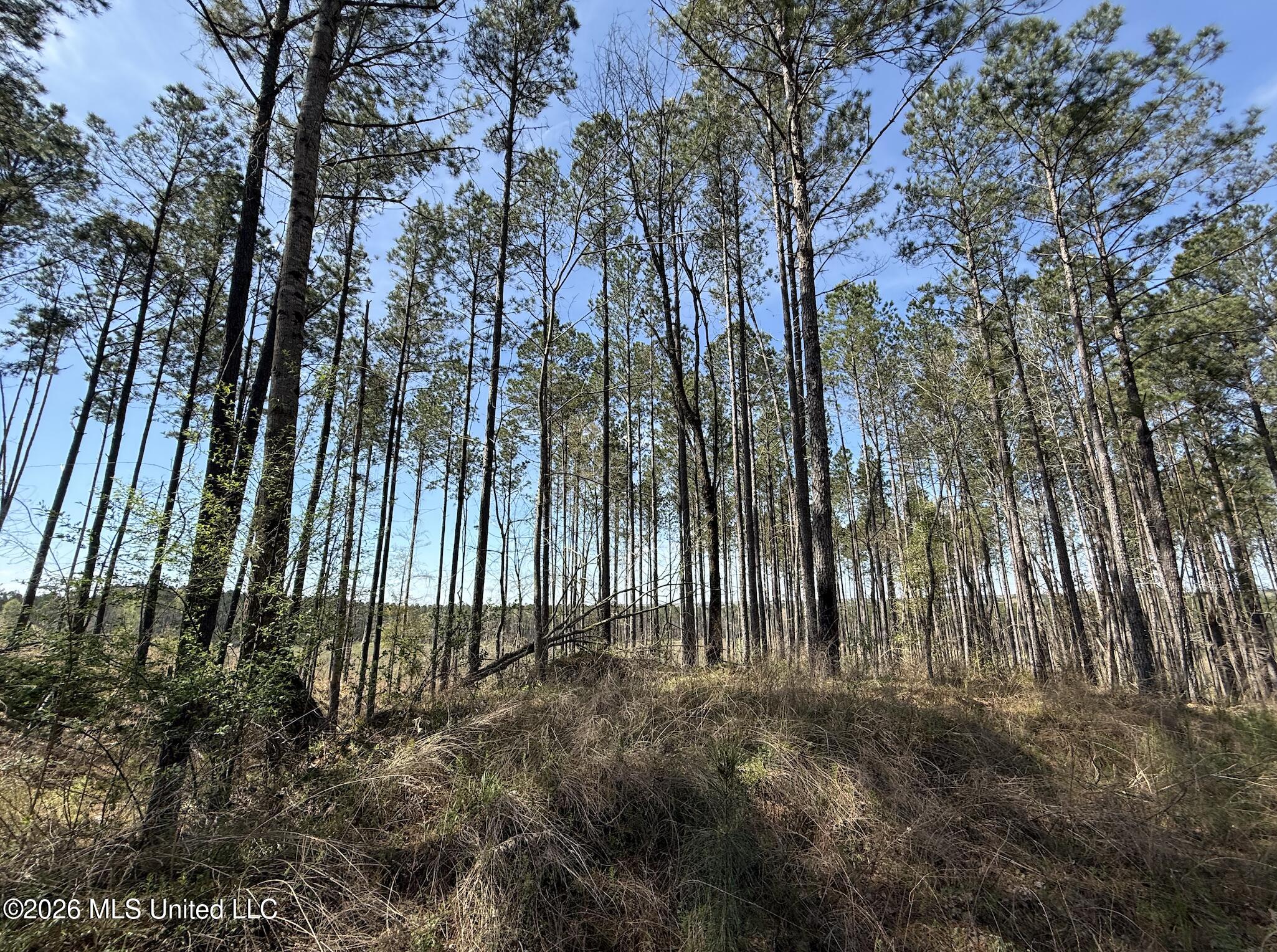 Oldenburg Road Property Photo 65