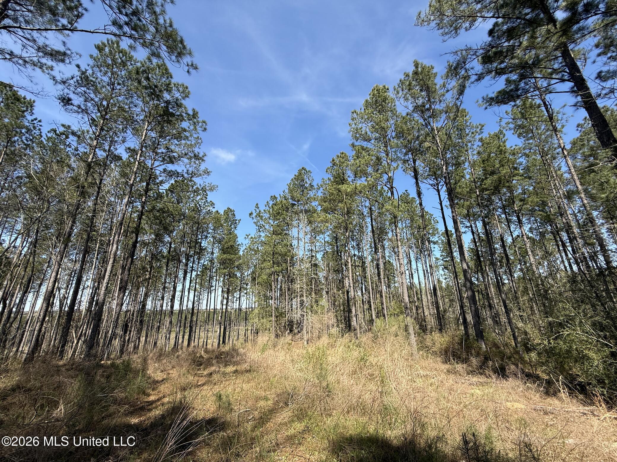 Oldenburg Road Property Photo 66