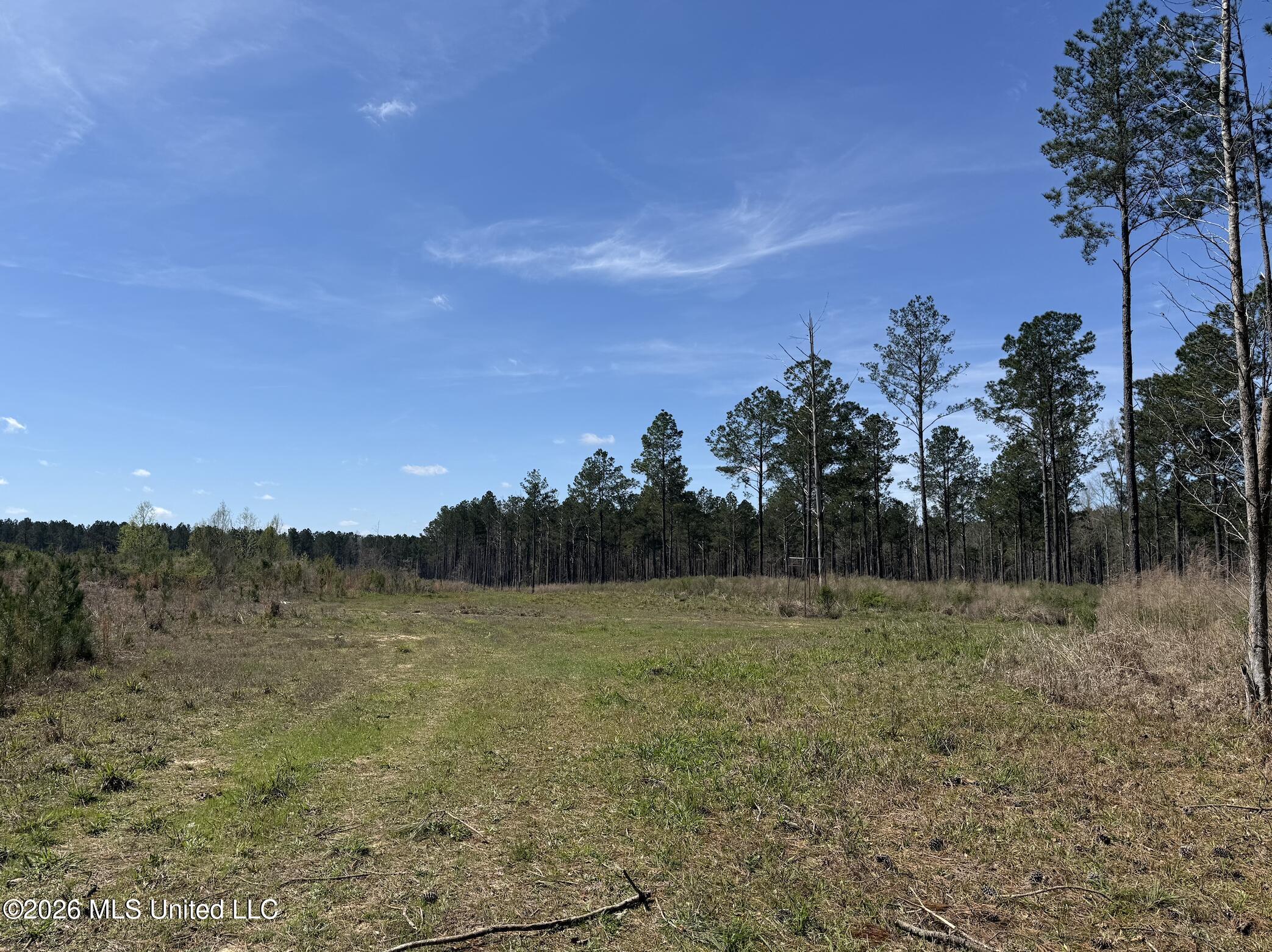 Oldenburg Road Property Photo 67