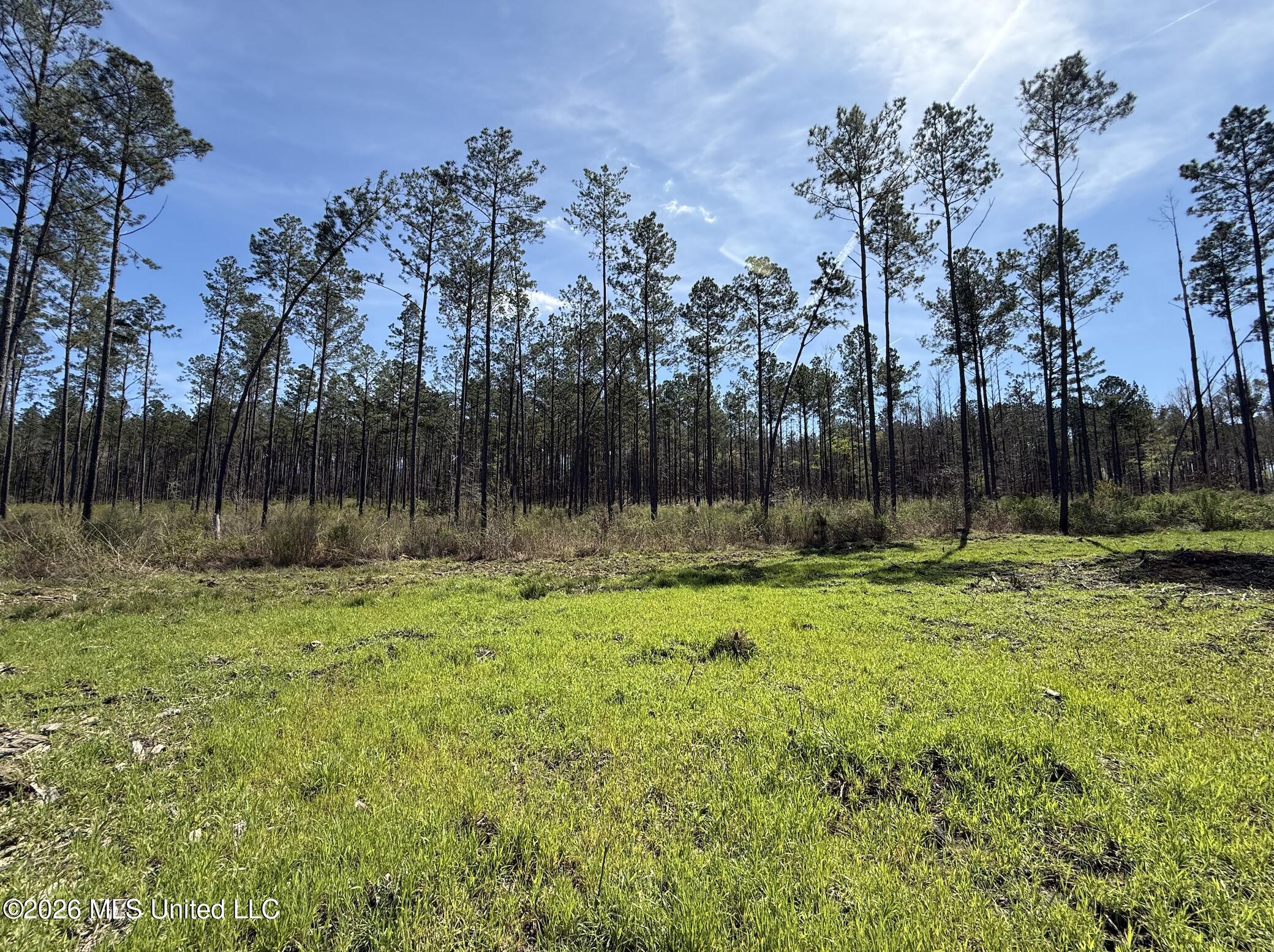Oldenburg Road Property Photo 70