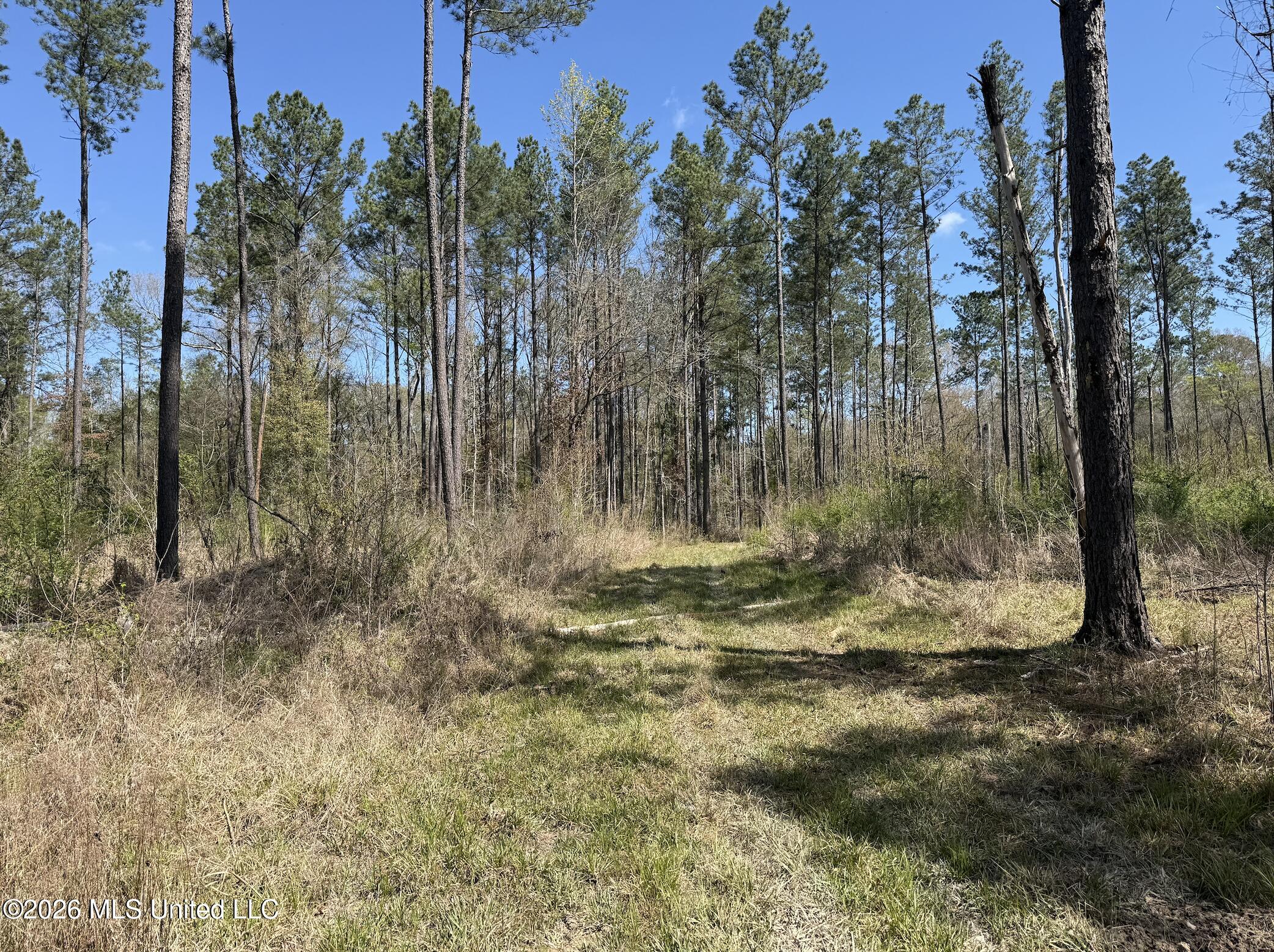 Oldenburg Road Property Photo 71