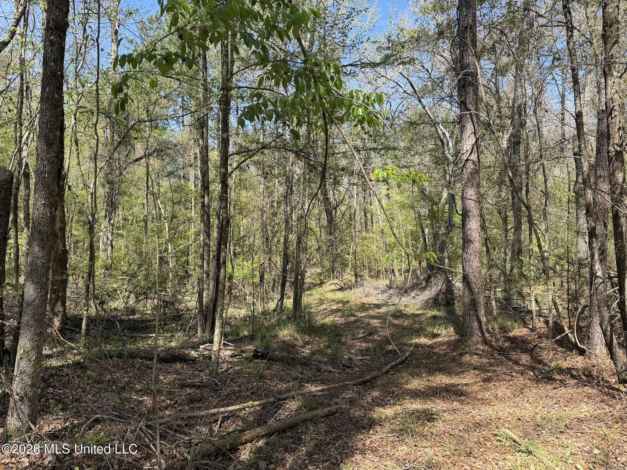 Oldenburg Road Property Photo 72