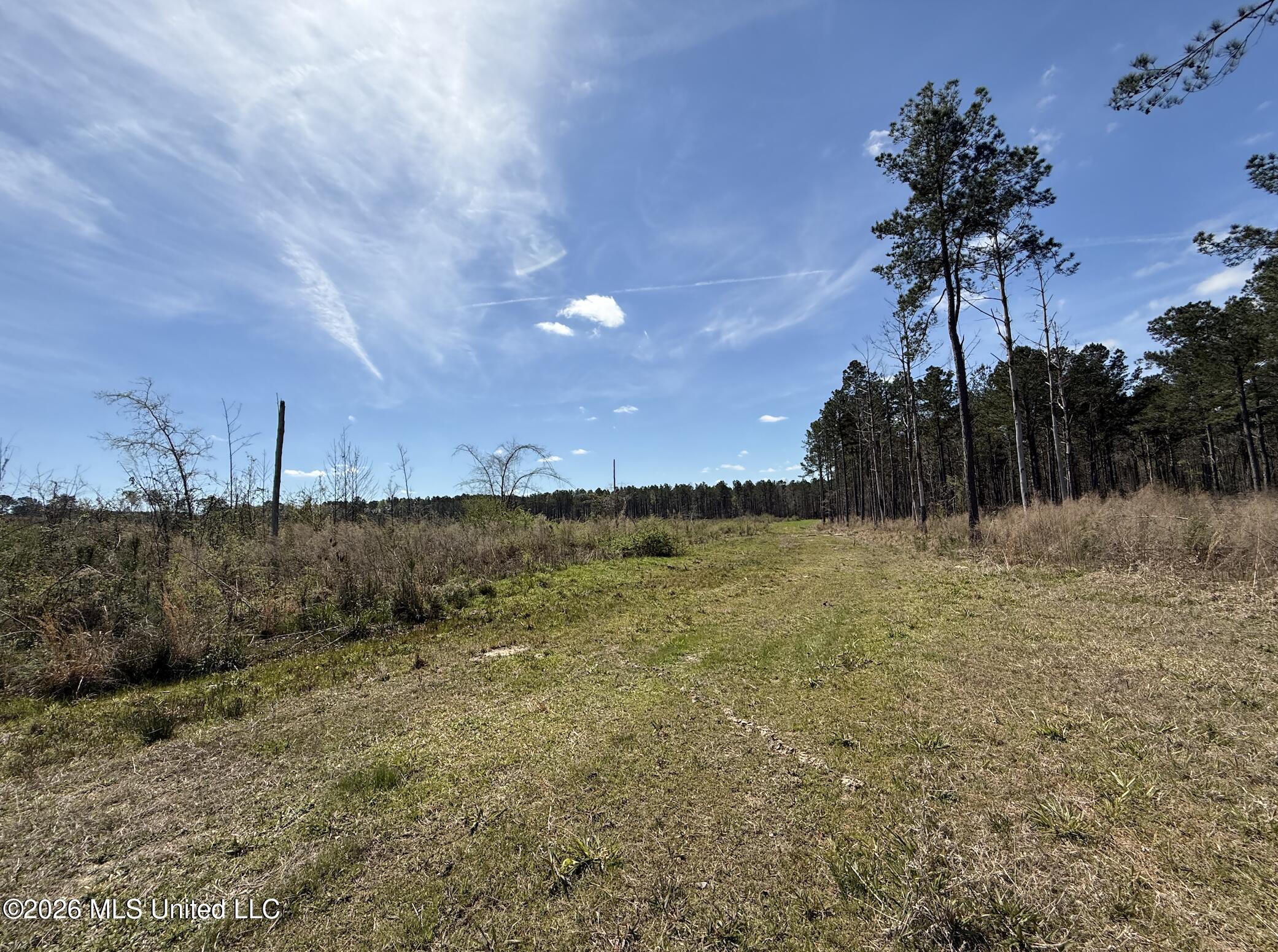 Oldenburg Road Property Photo 78