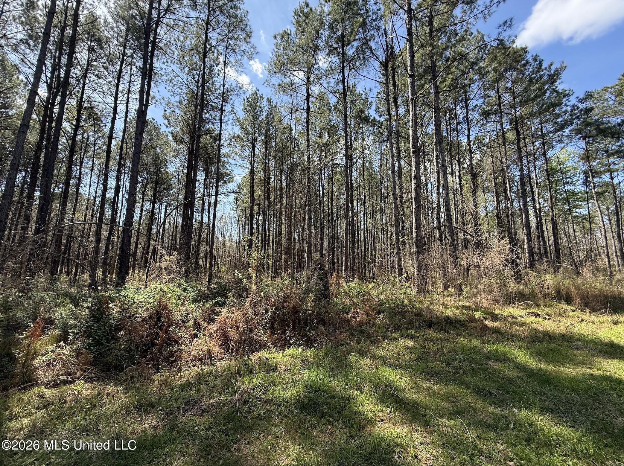 Oldenburg Road Property Photo 80