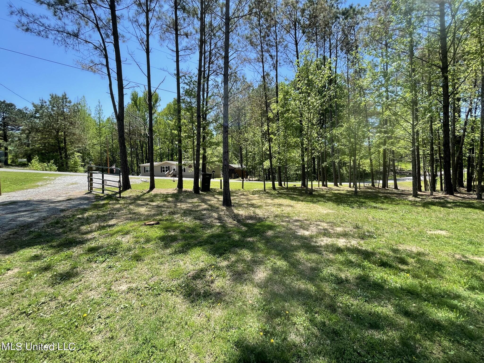 315 Young Road Property Photo 11