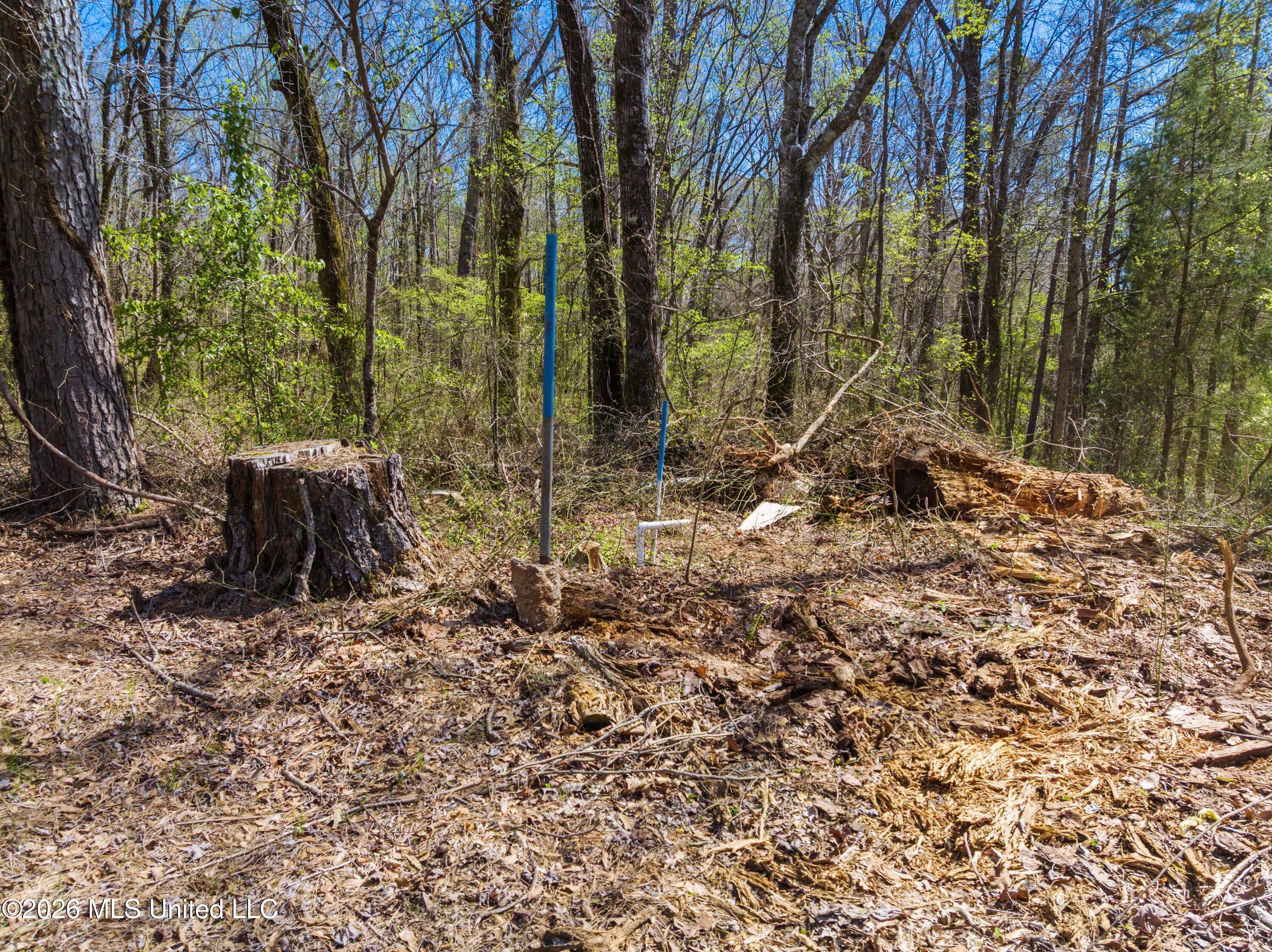 60472 Old Highway 6 Property Photo 4