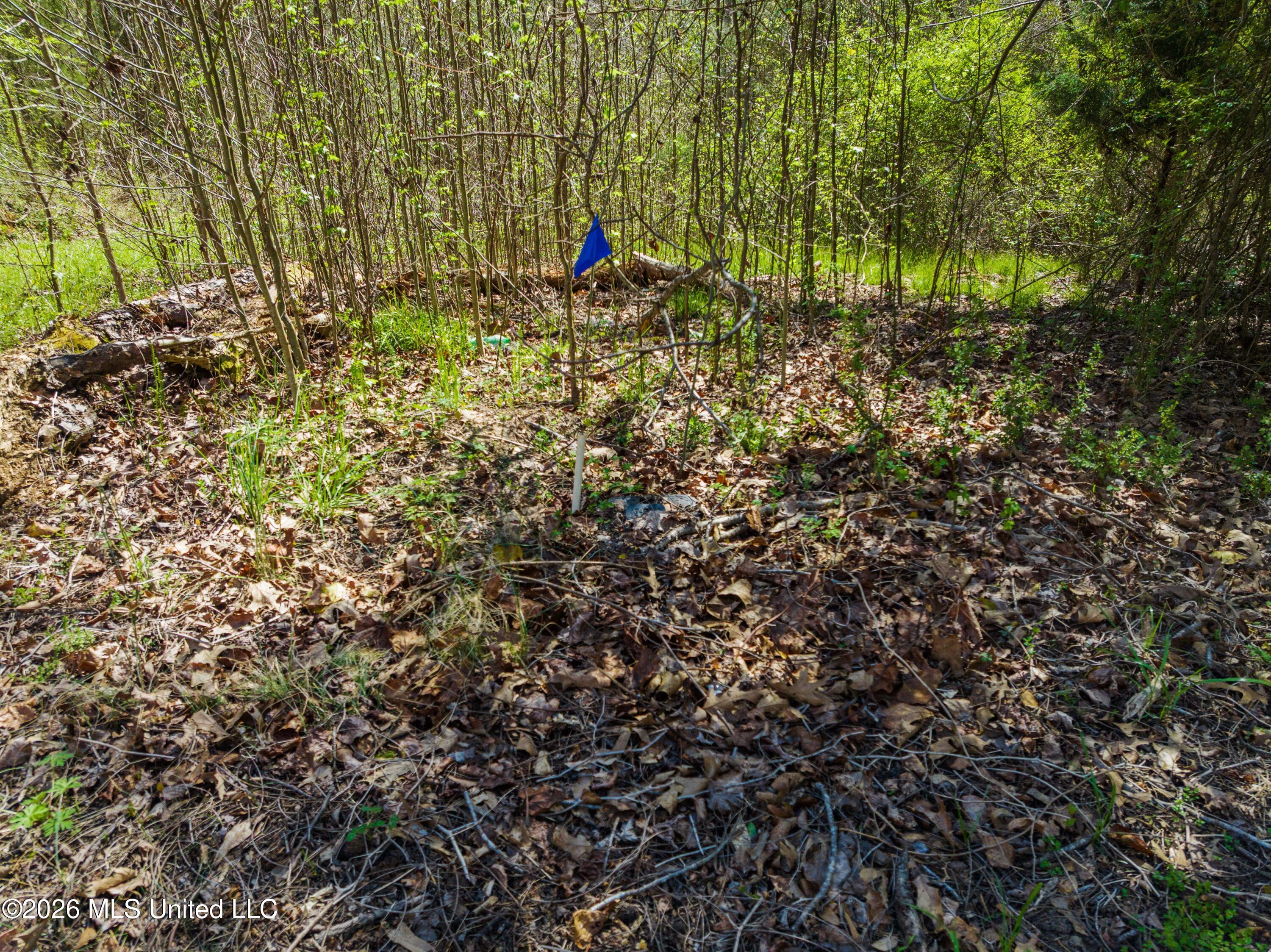 60472 Old Highway 6 Property Photo 5