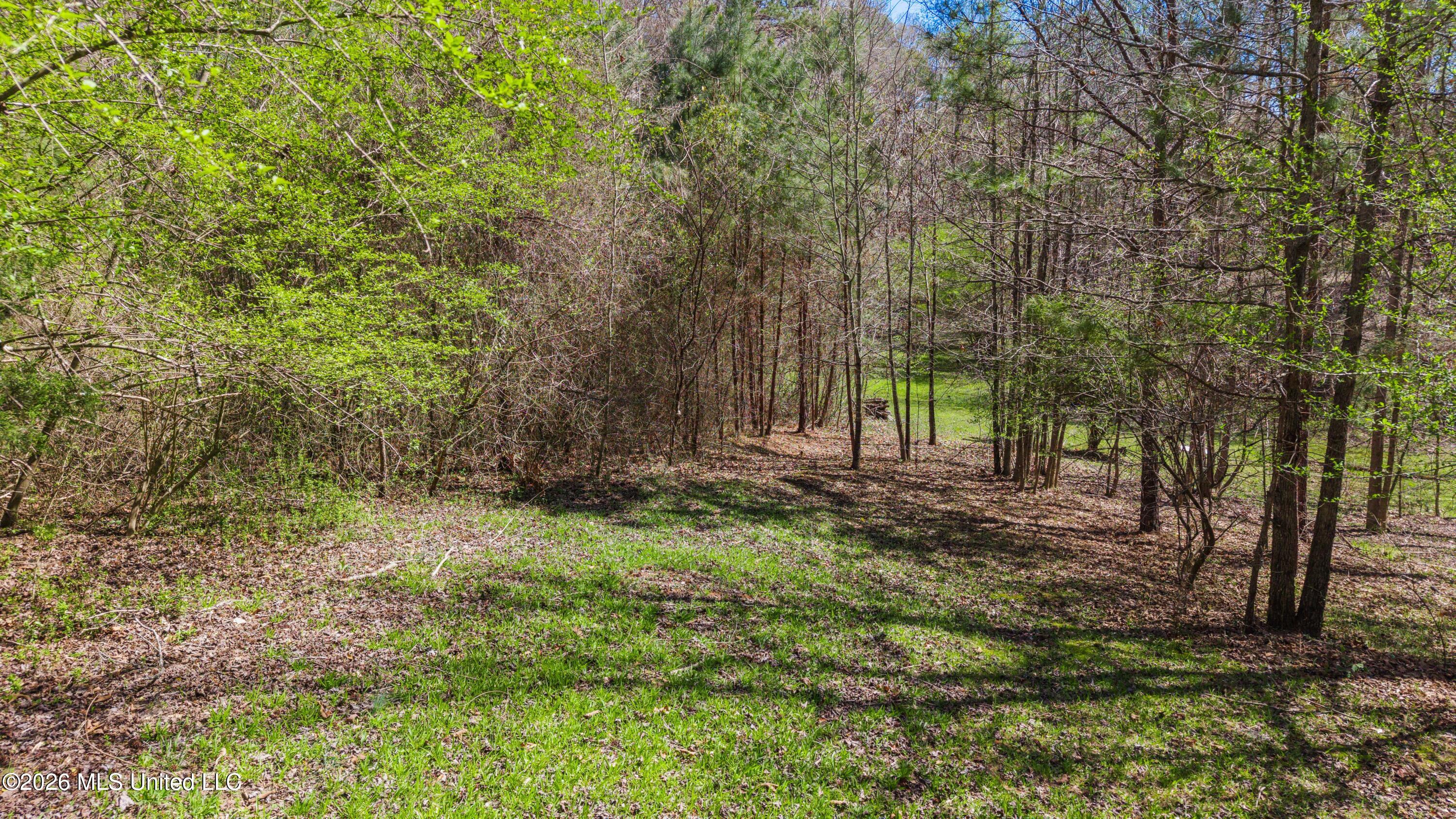 60472 Old Highway 6 Property Photo 13