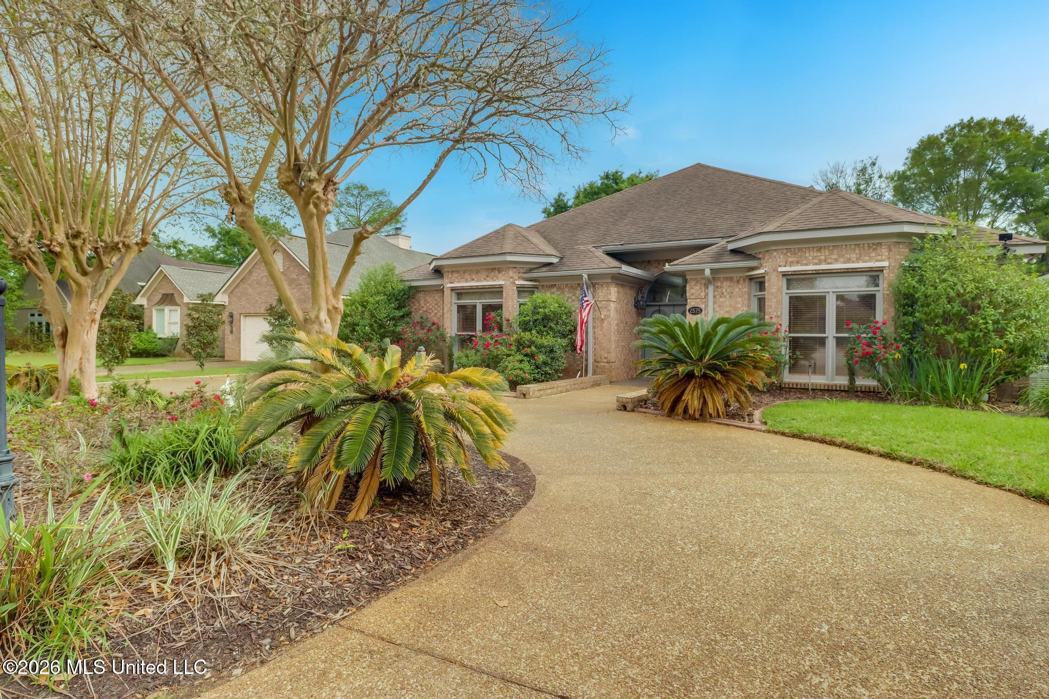 2575 Rue Palafox Property Photo 2