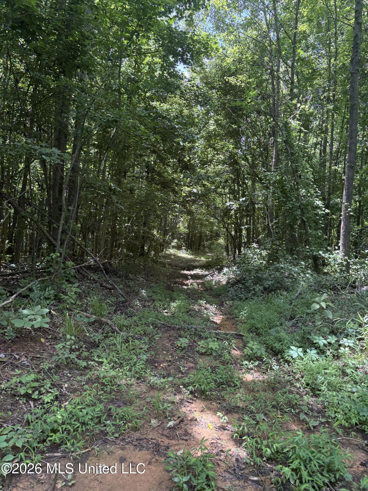 County Road 180 Property Photo 2