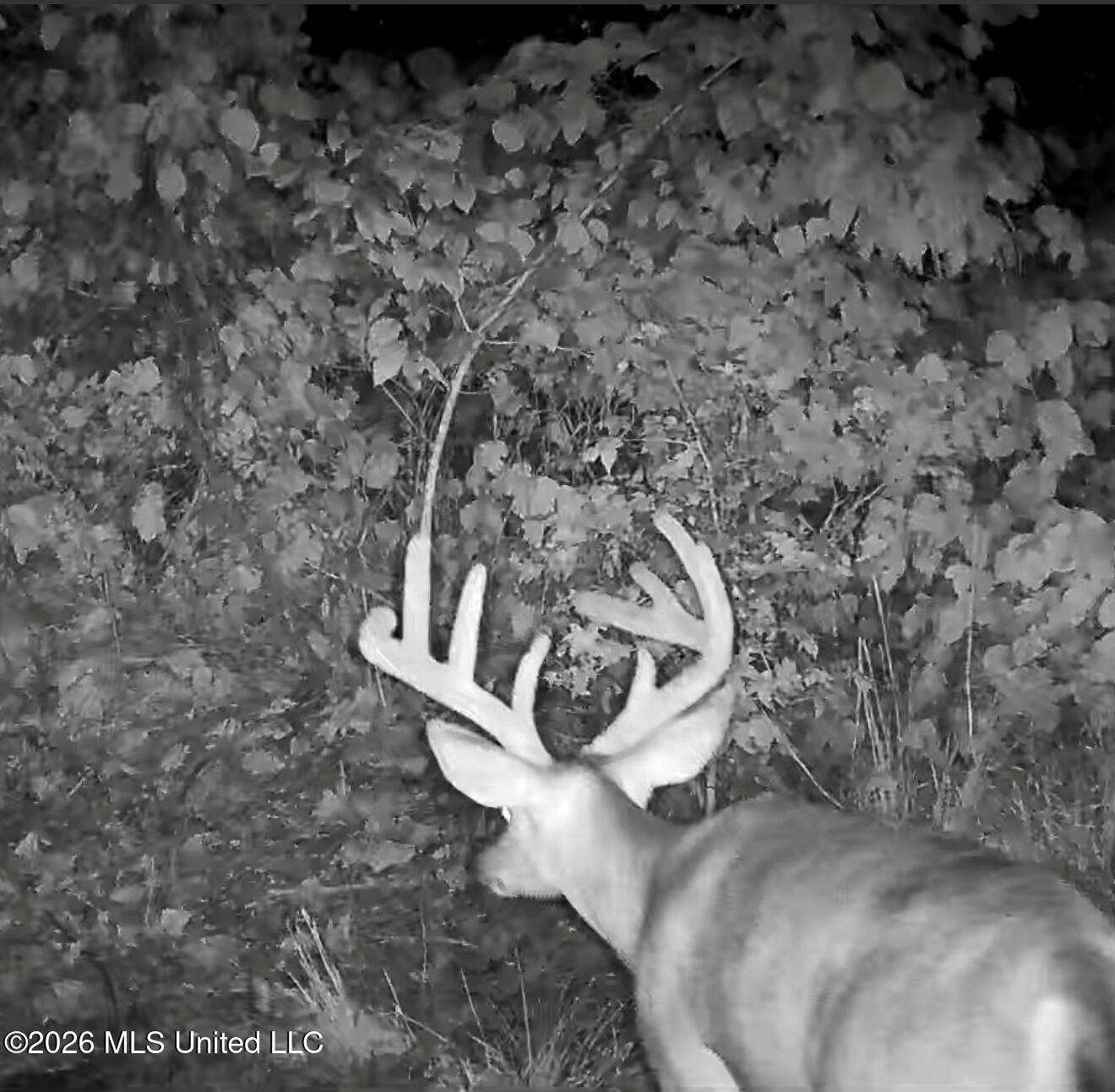 County Road 180 Property Photo 2