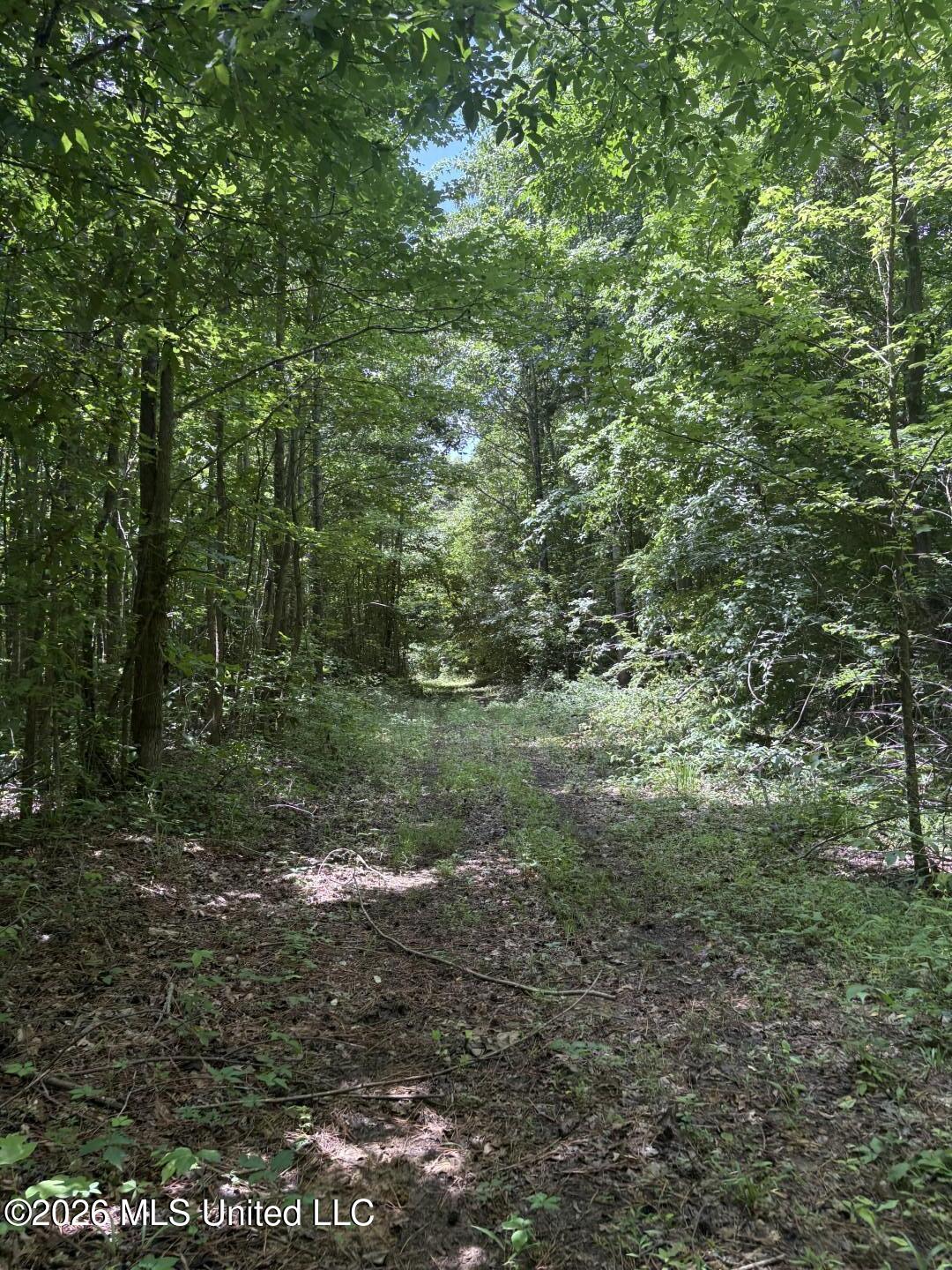 County Road 180 Property Photo 4