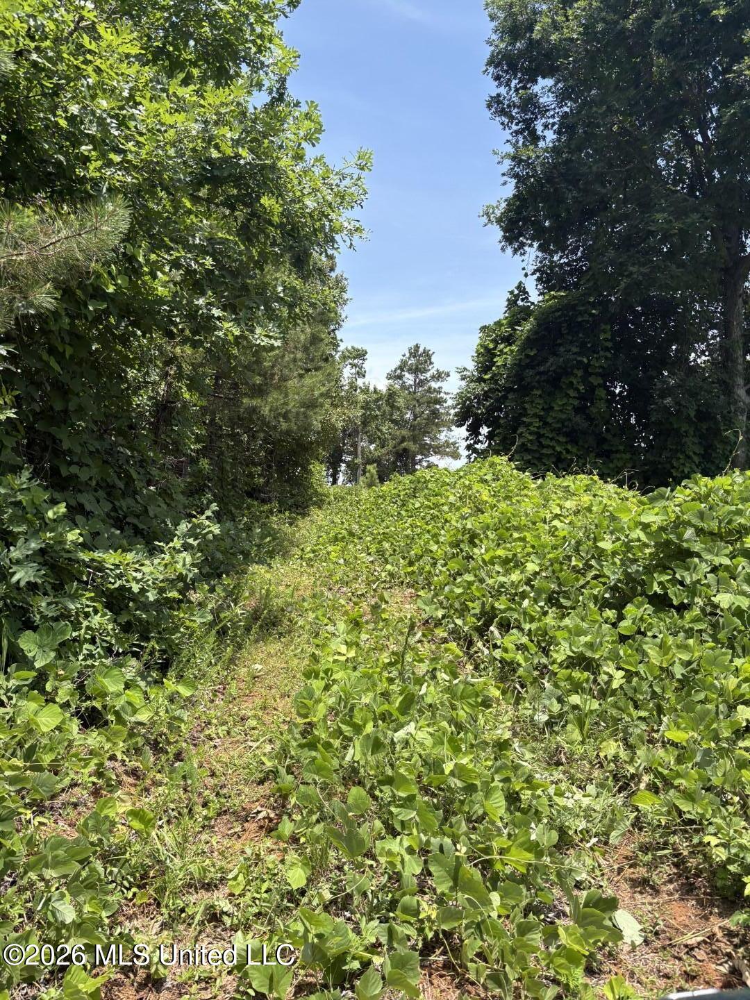 County Road 180 Property Photo 7