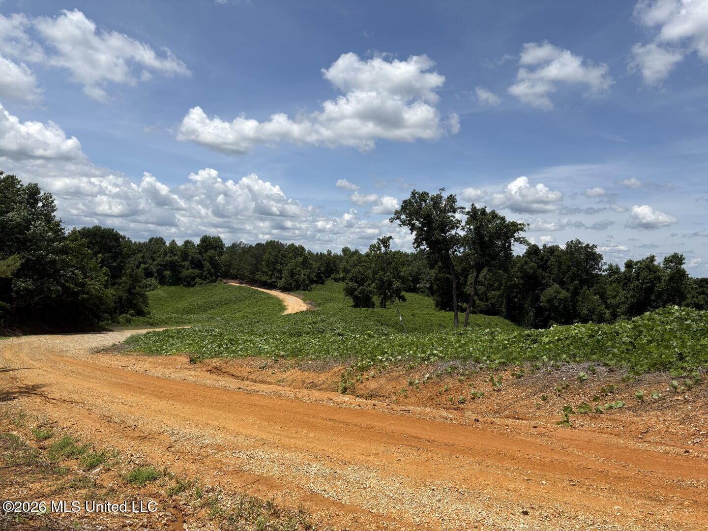 County Road 180 Property Photo 8