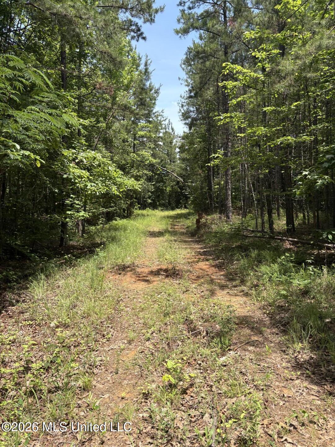 County Road 180 Property Photo 10
