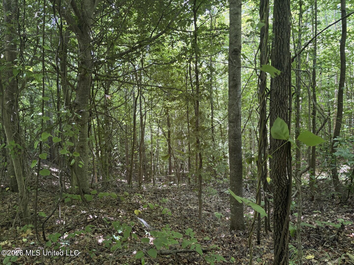 County Road 180 Property Photo 11