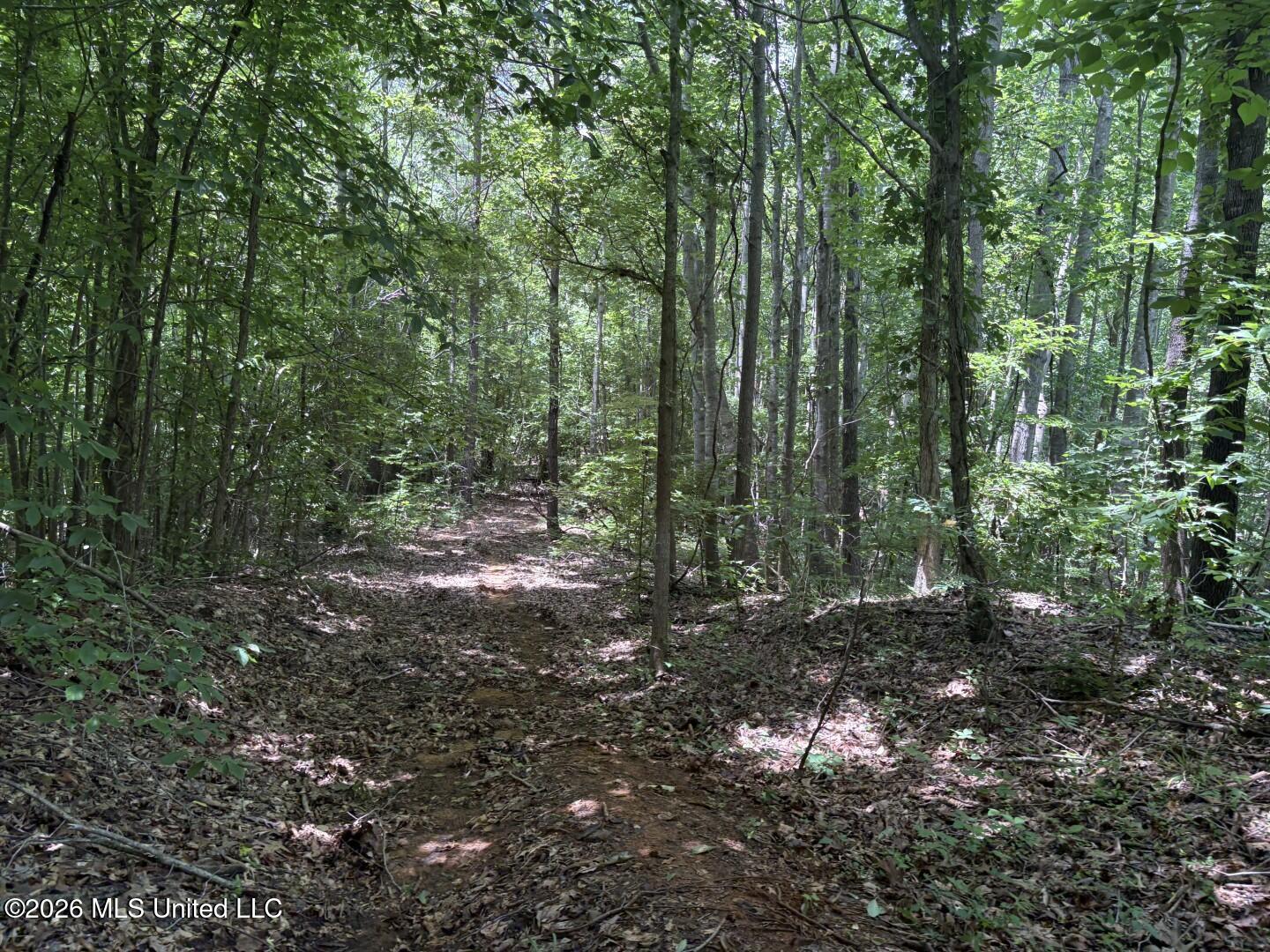 County Road 180 Property Photo 12