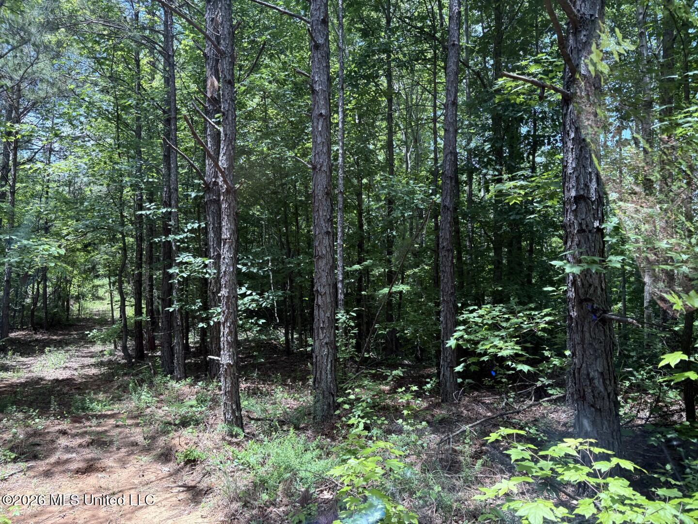County Road 180 Property Photo 13