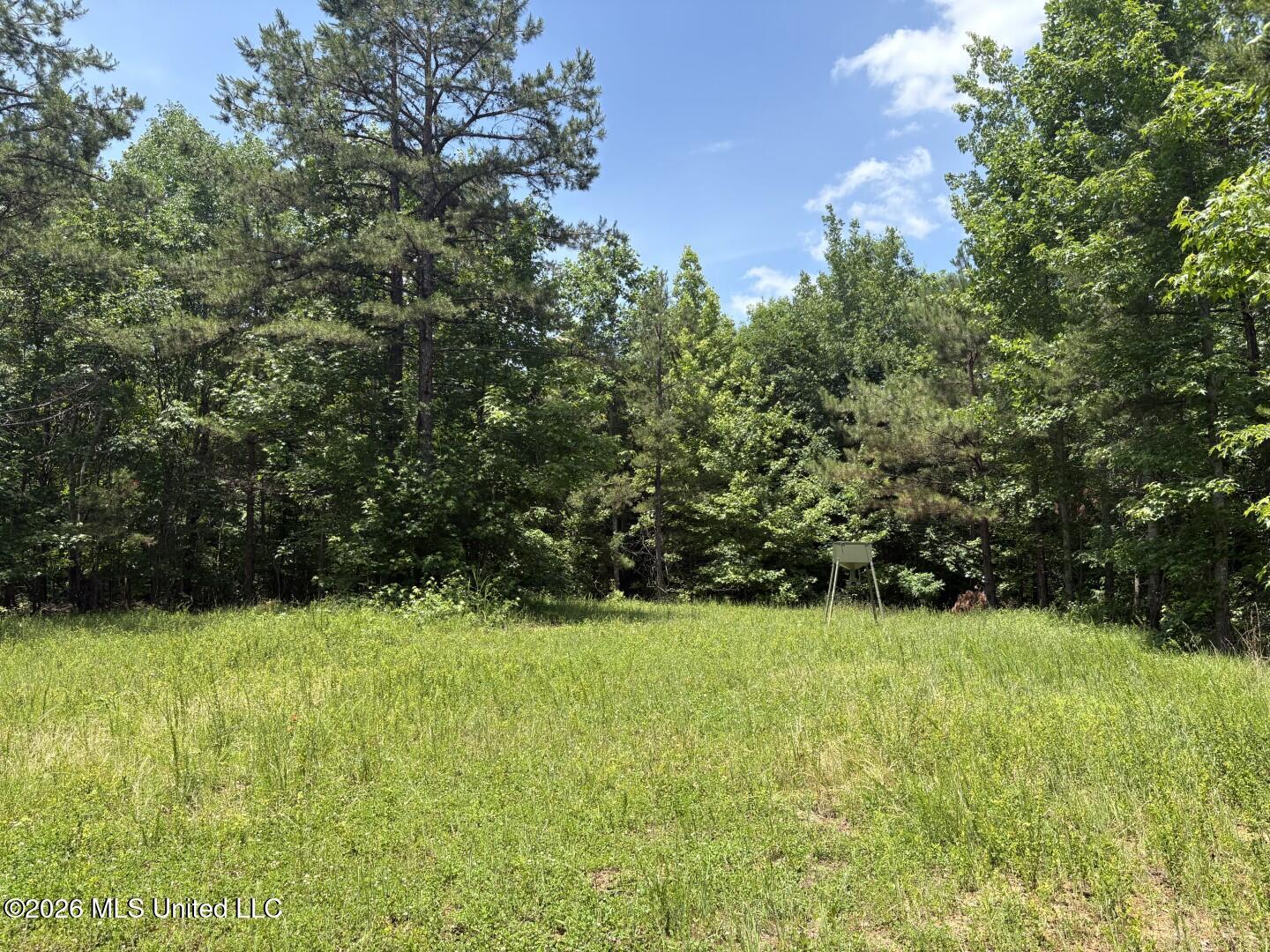County Road 180 Property Photo 14