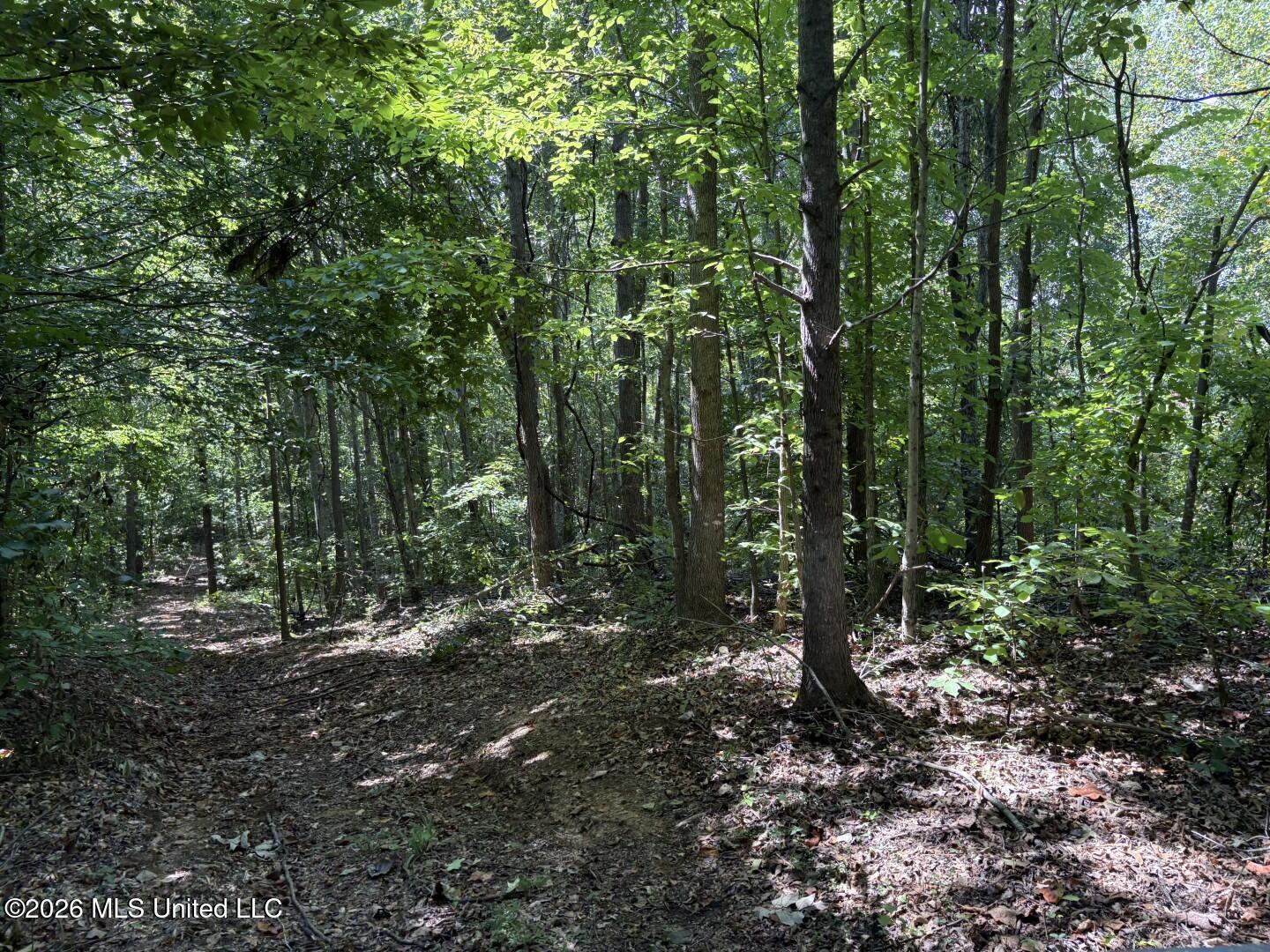 County Road 180 Property Photo 14