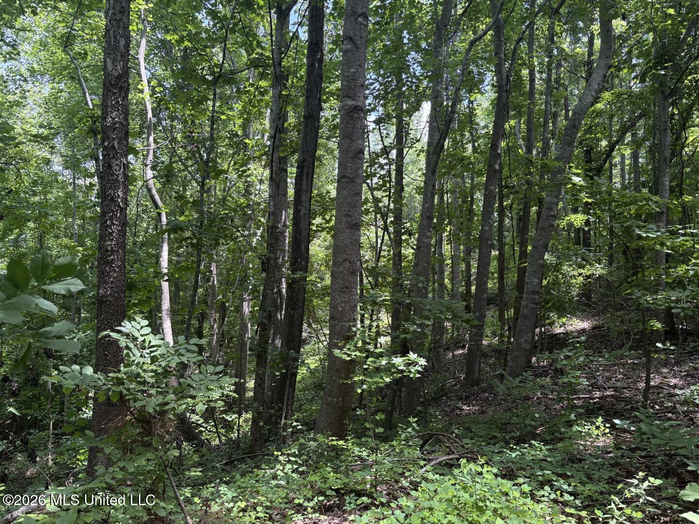 County Road 180 Property Photo 15