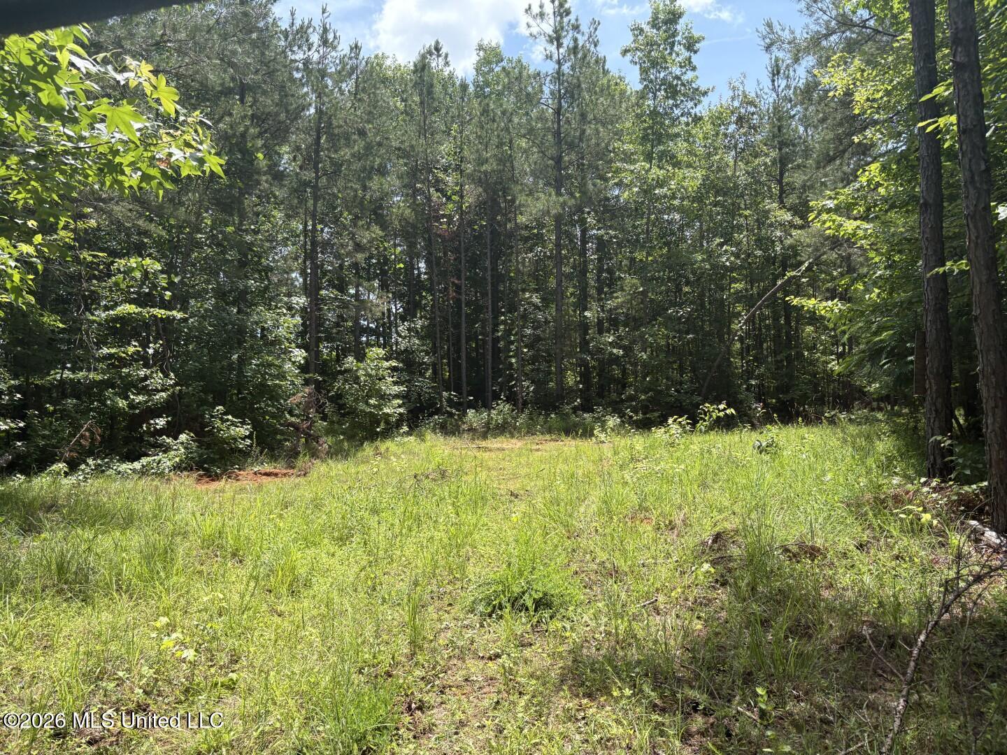 County Road 180 Property Photo 16