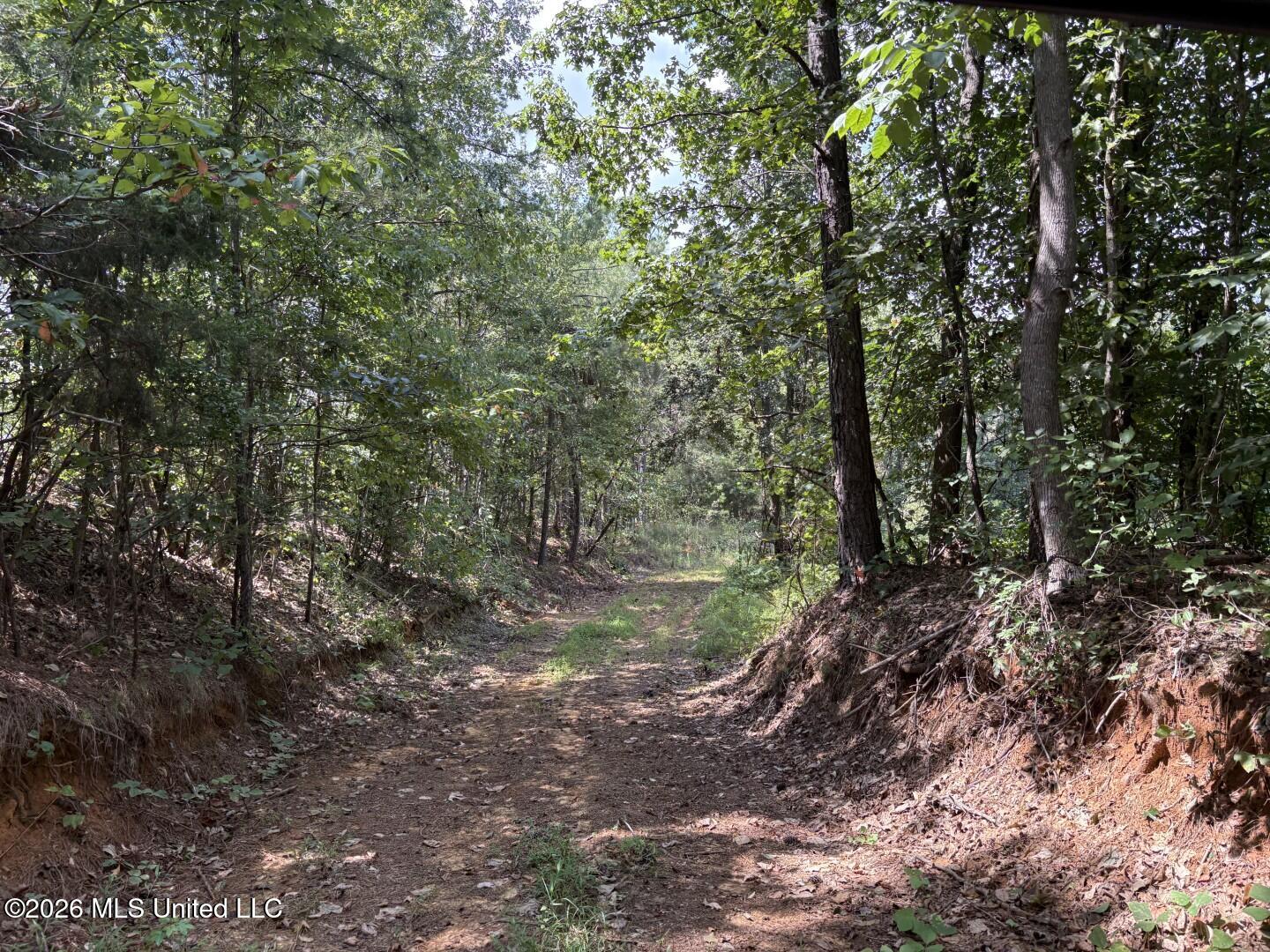 County Road 180 Property Photo 16