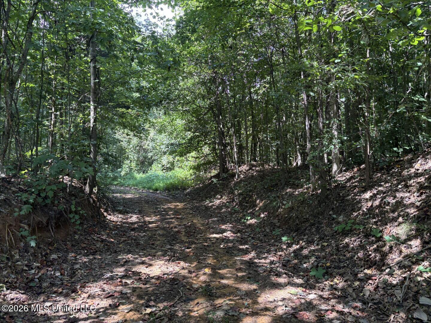 County Road 180 Property Photo 17