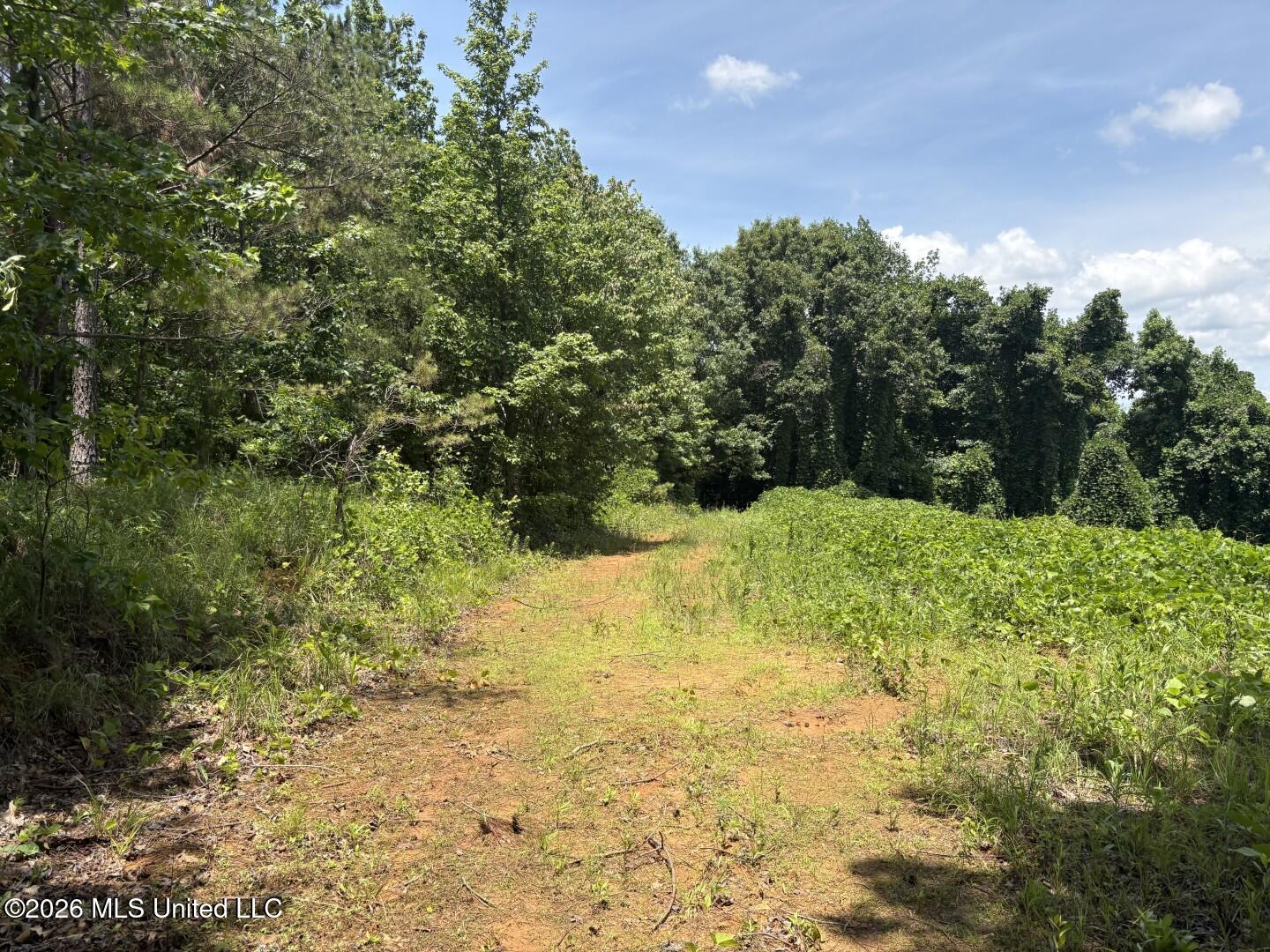 County Road 180 Property Photo 18