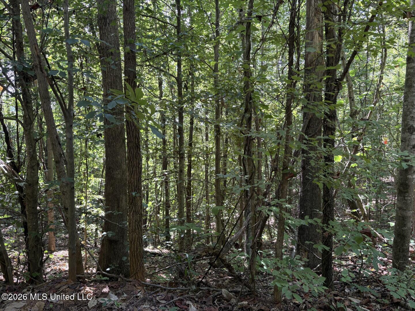 County Road 180 Property Photo 18