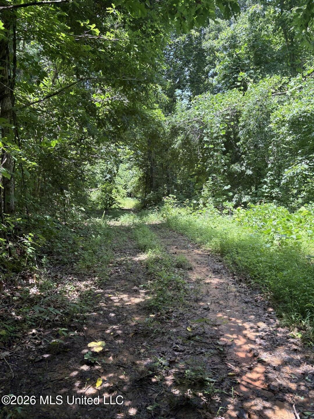 County Road 180 Property Photo 19