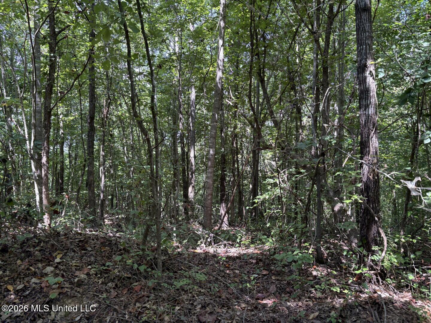 County Road 180 Property Photo 19